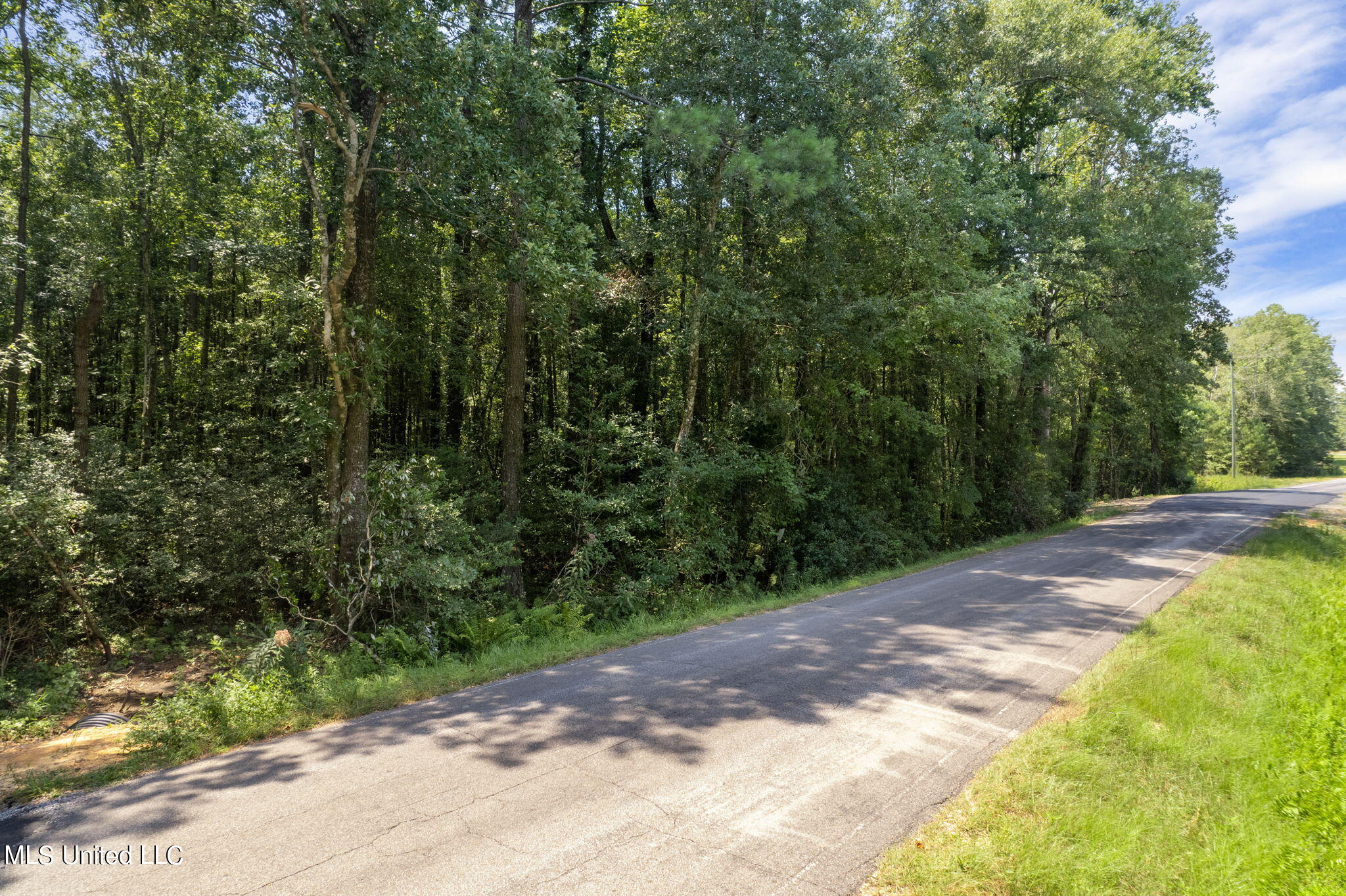 293 Acres Scruggs Road Property Photo 12