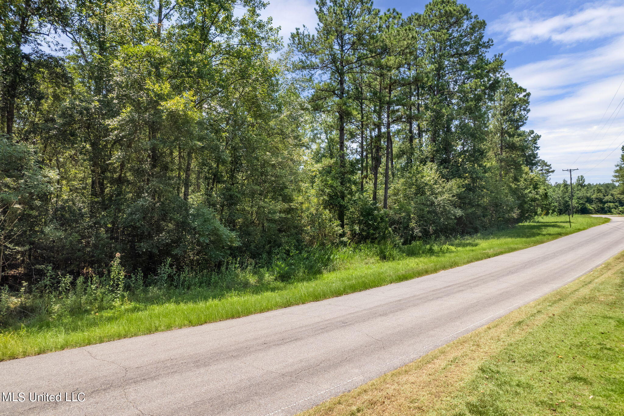 293 Acres Scruggs Road Property Photo 13