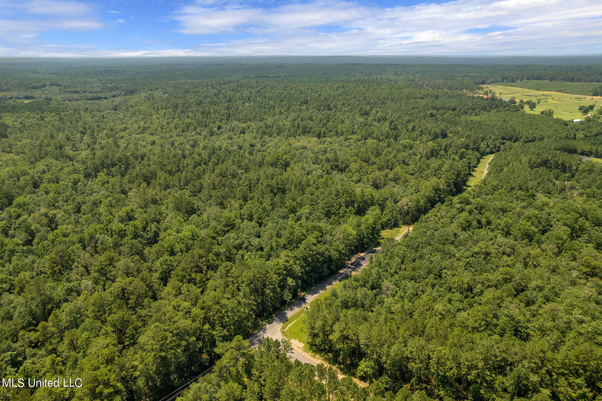 293 Acres Scruggs Road Property Photo 25