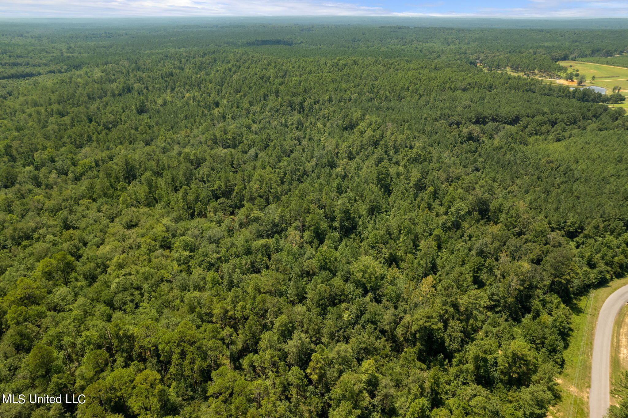 293 Acres Scruggs Road Property Photo 27