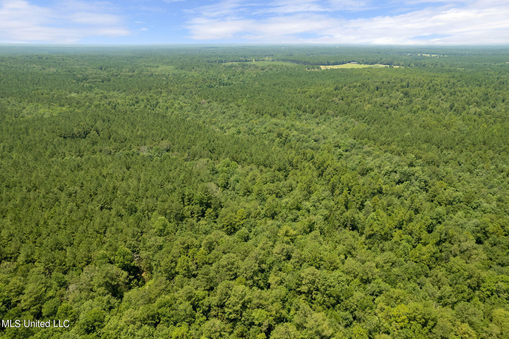 293 Acres Scruggs Road Property Photo 31