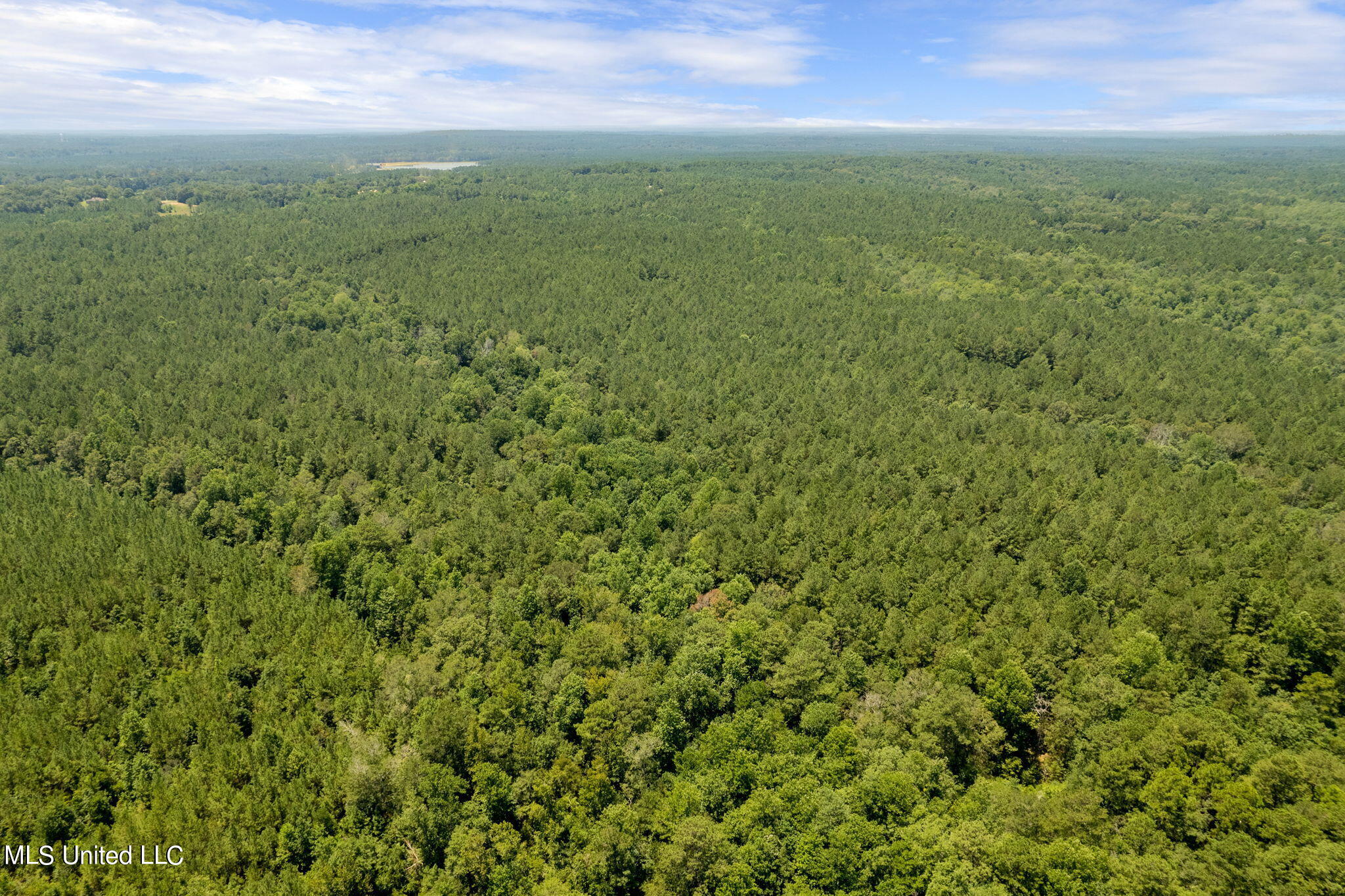 293 Acres Scruggs Road Property Photo 33