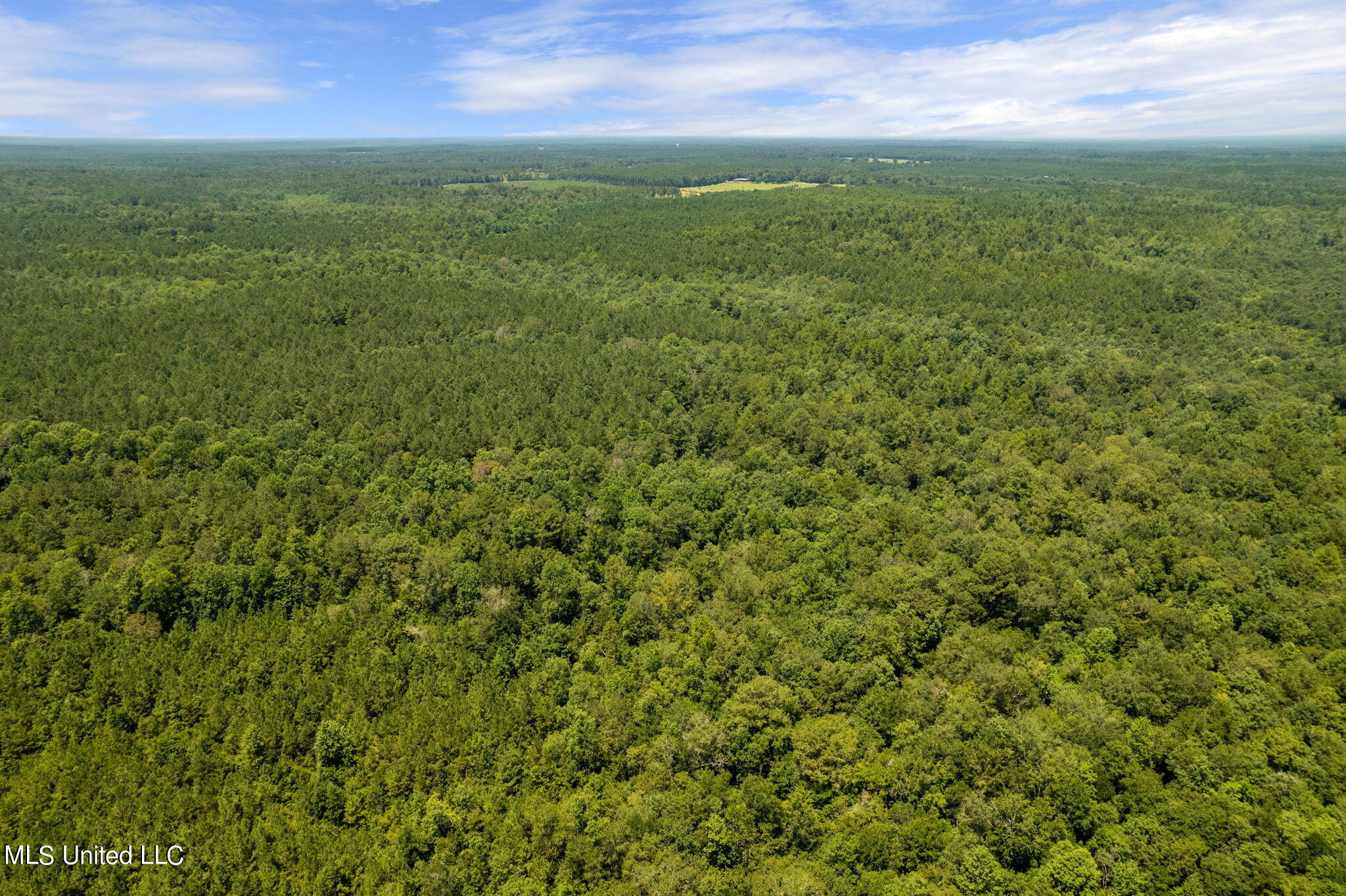 293 Acres Scruggs Road Property Photo 34