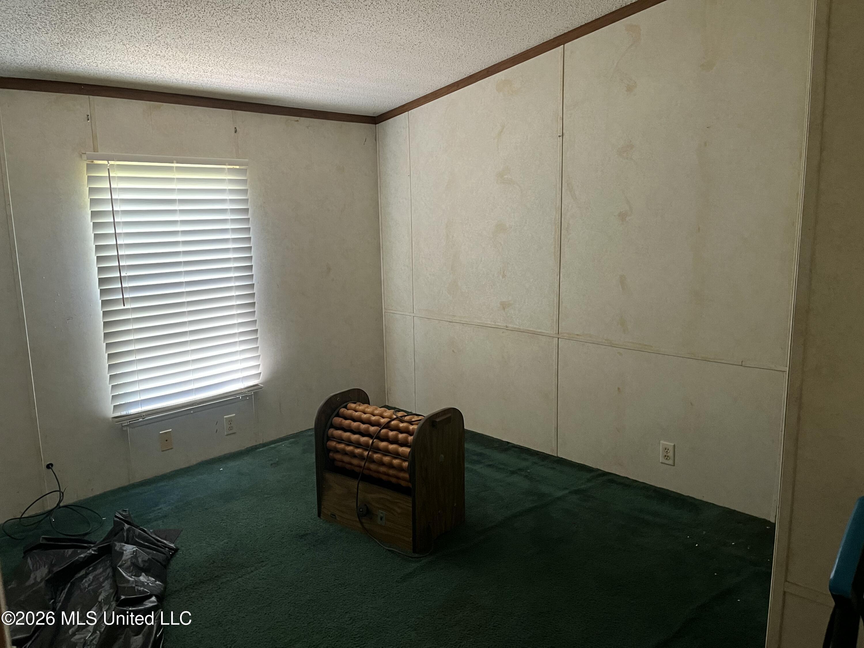 980 Tenner Road Property Photo 9