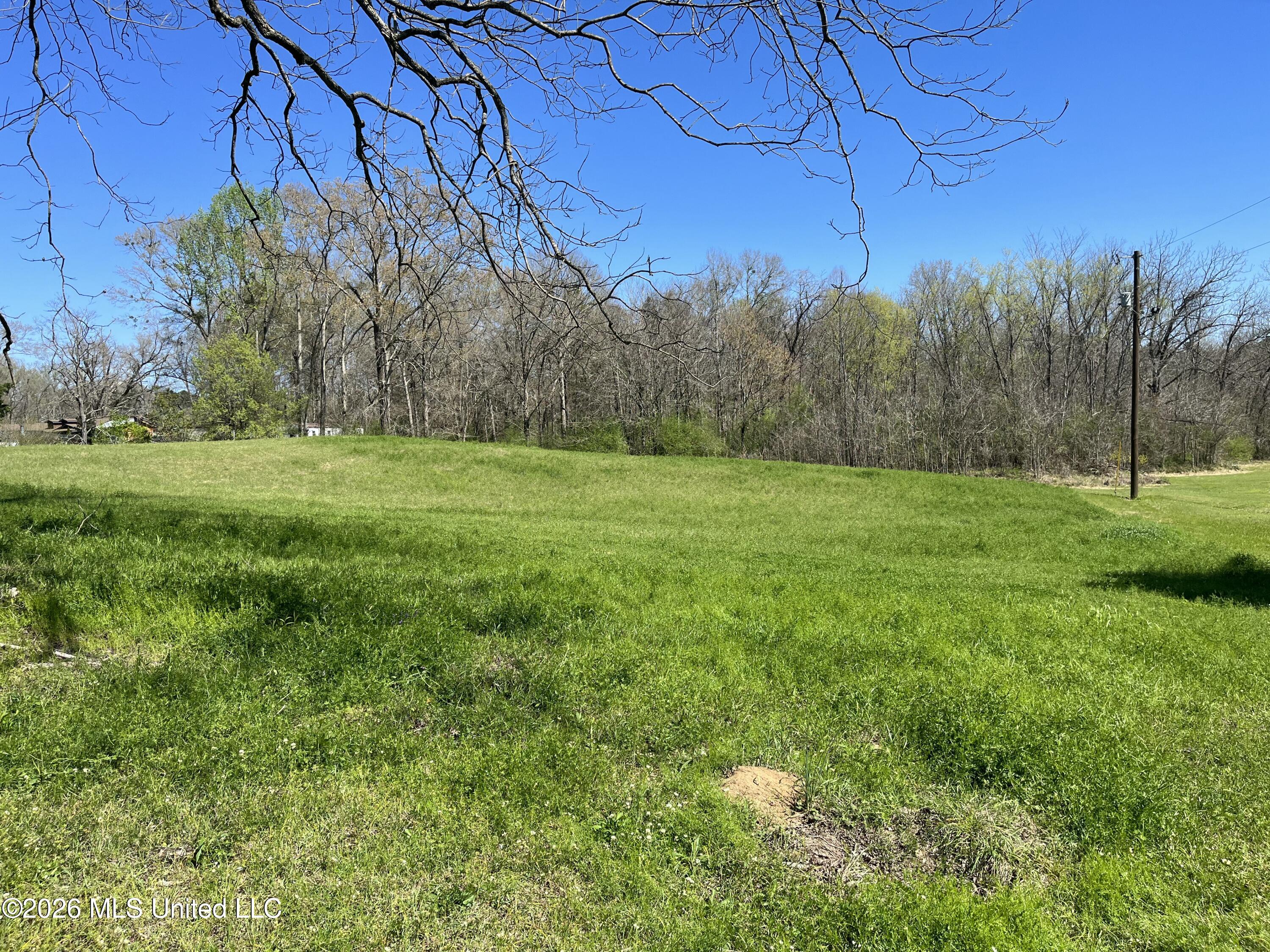 980 Tenner Road Property Photo 19