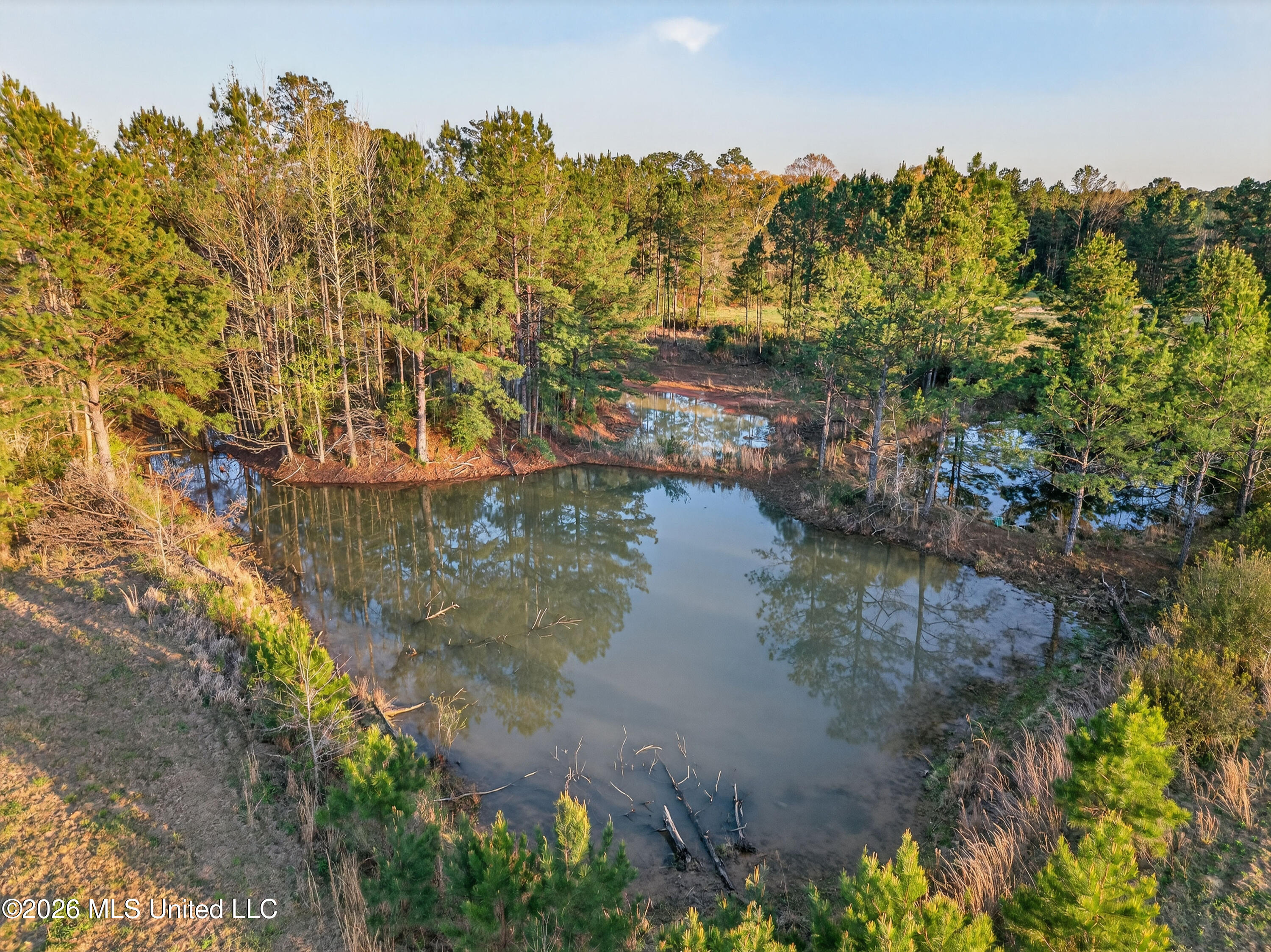 1059 Thomas School Road Property Photo 34