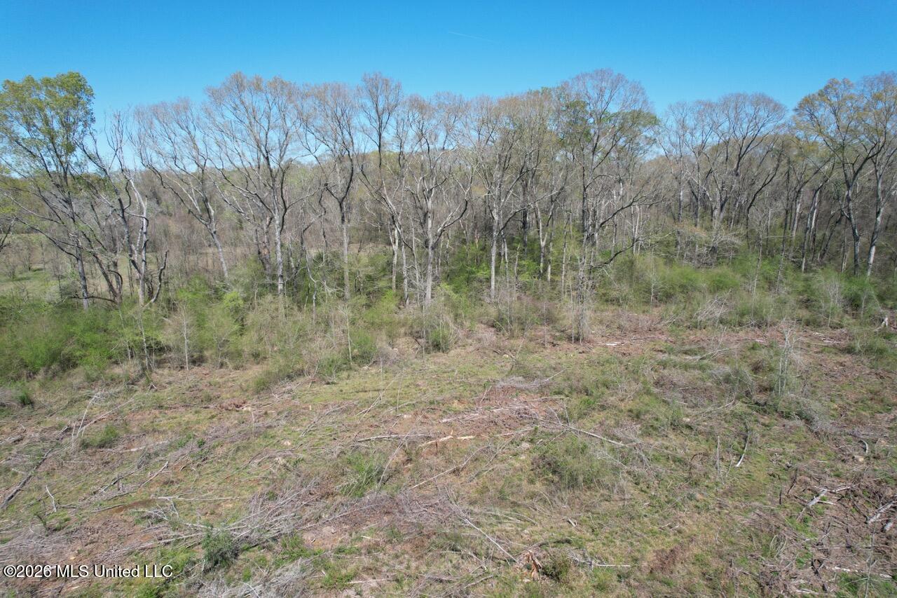 1009 Chance Road Property Photo 6