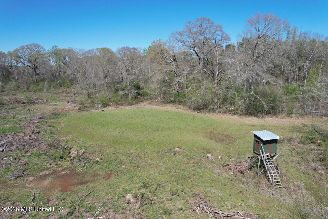 1009 Chance Road Property Photo 7