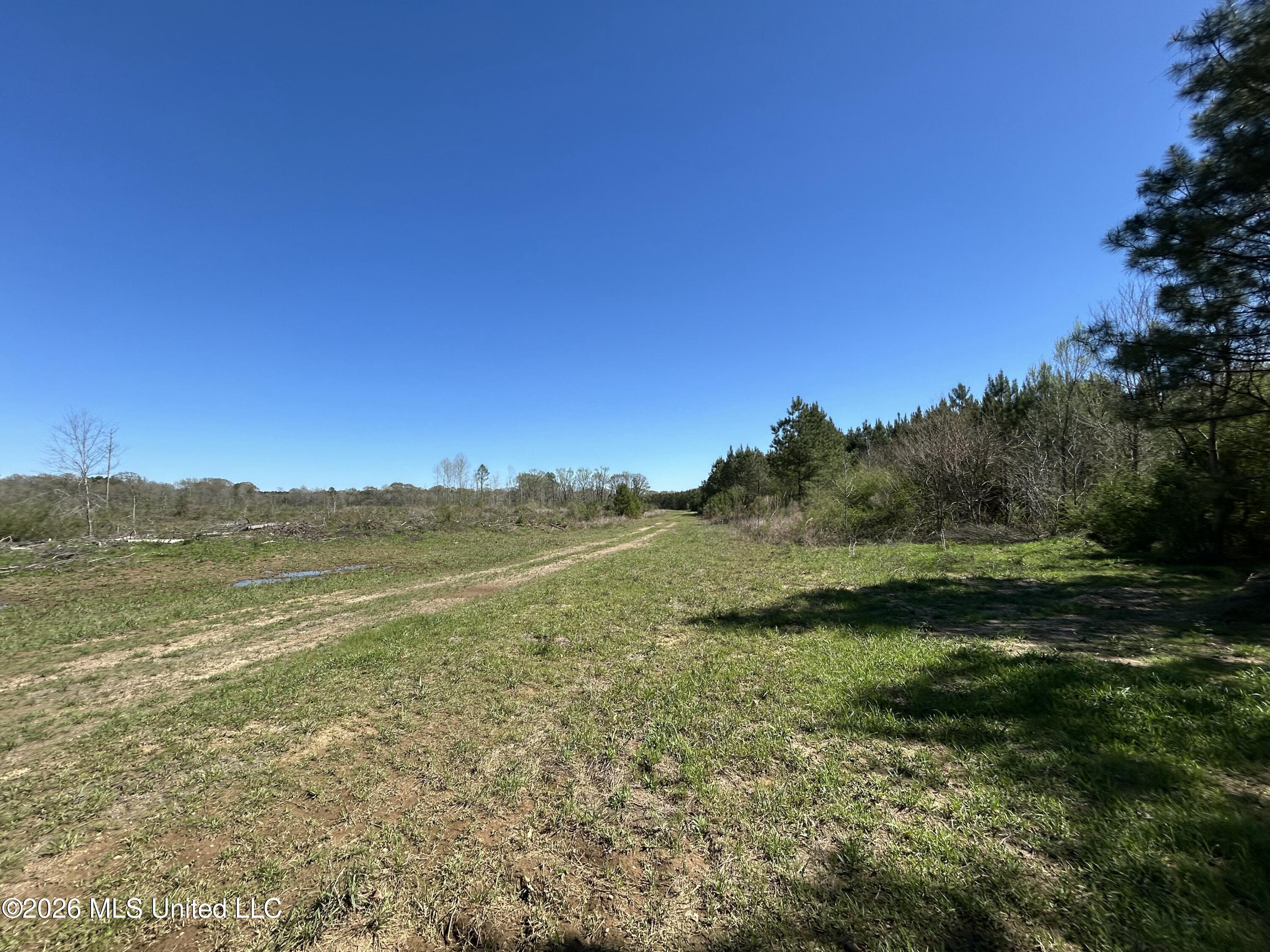 1009 Chance Road Property Photo 27