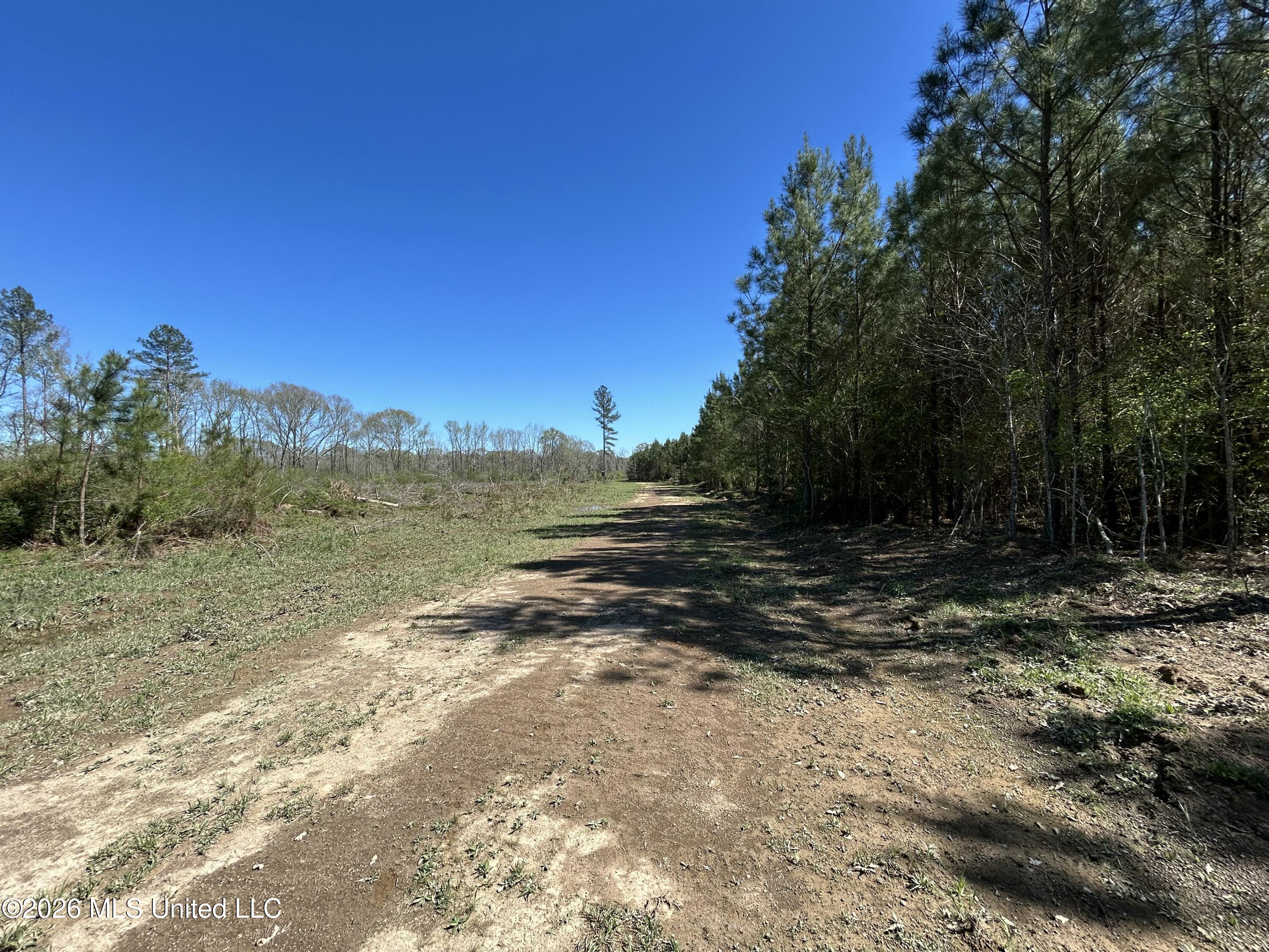 1009 Chance Road Property Photo 29