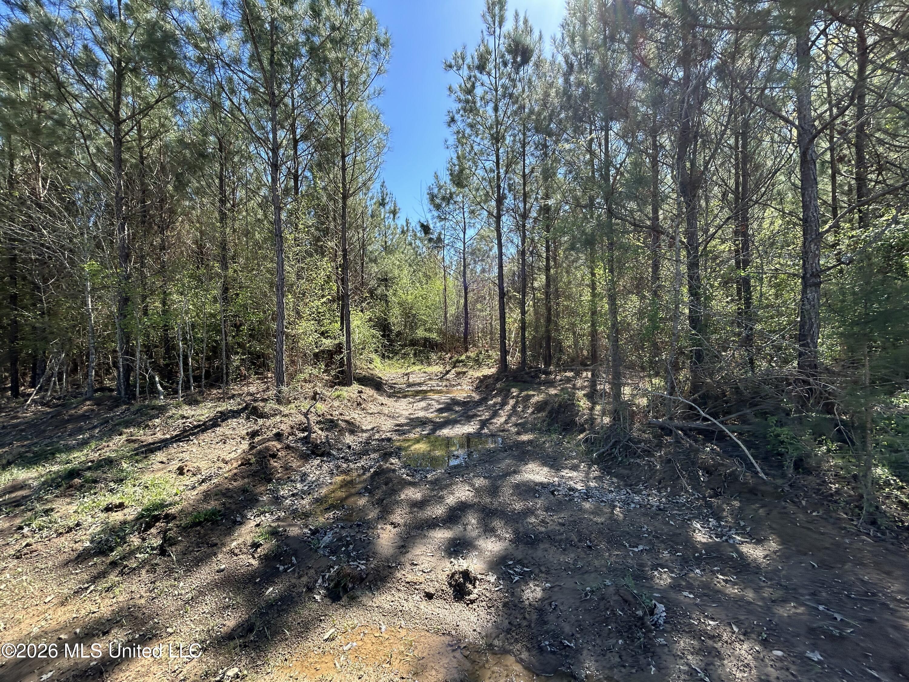 1009 Chance Road Property Photo 30