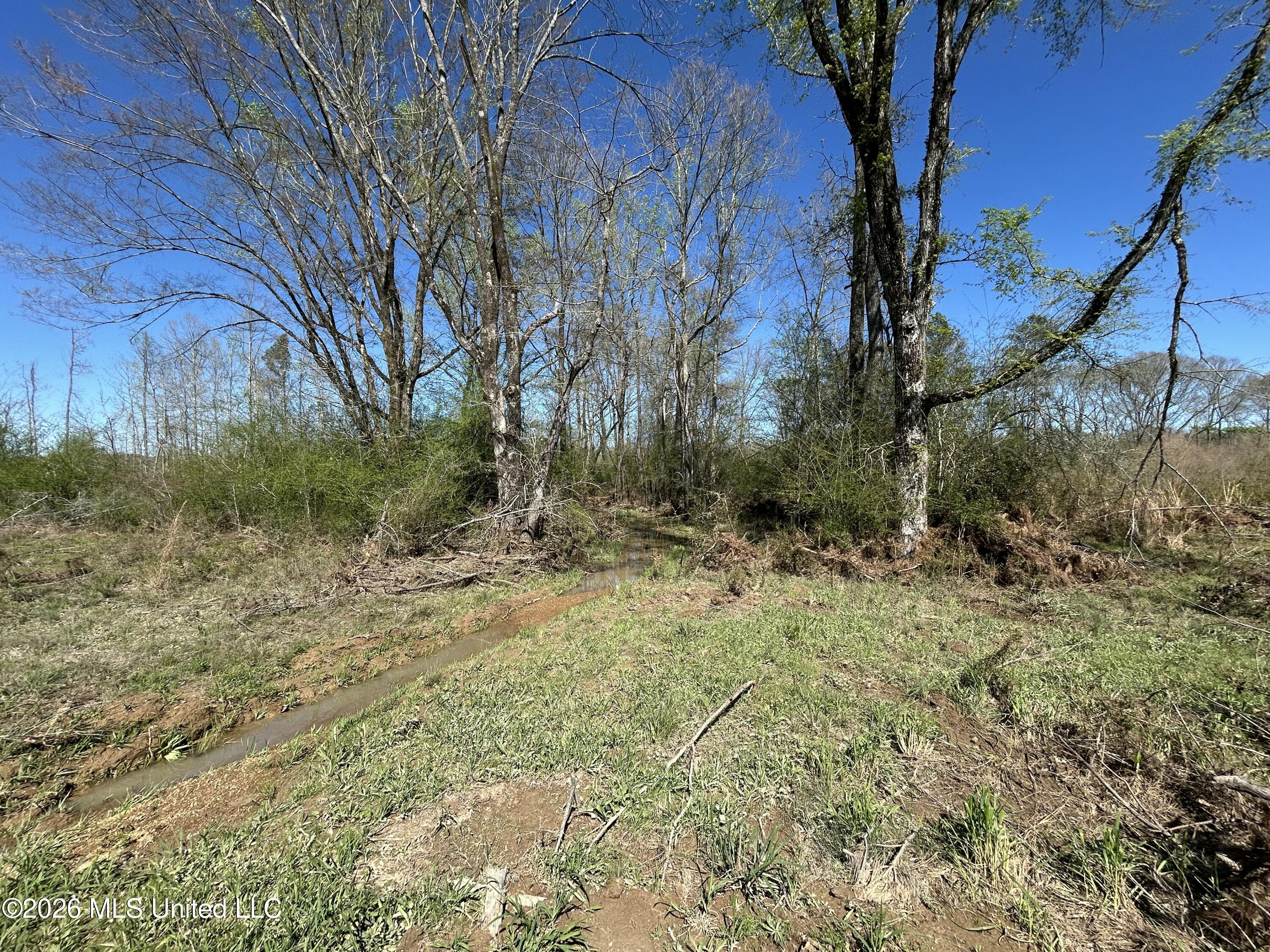 1009 Chance Road Property Photo 31