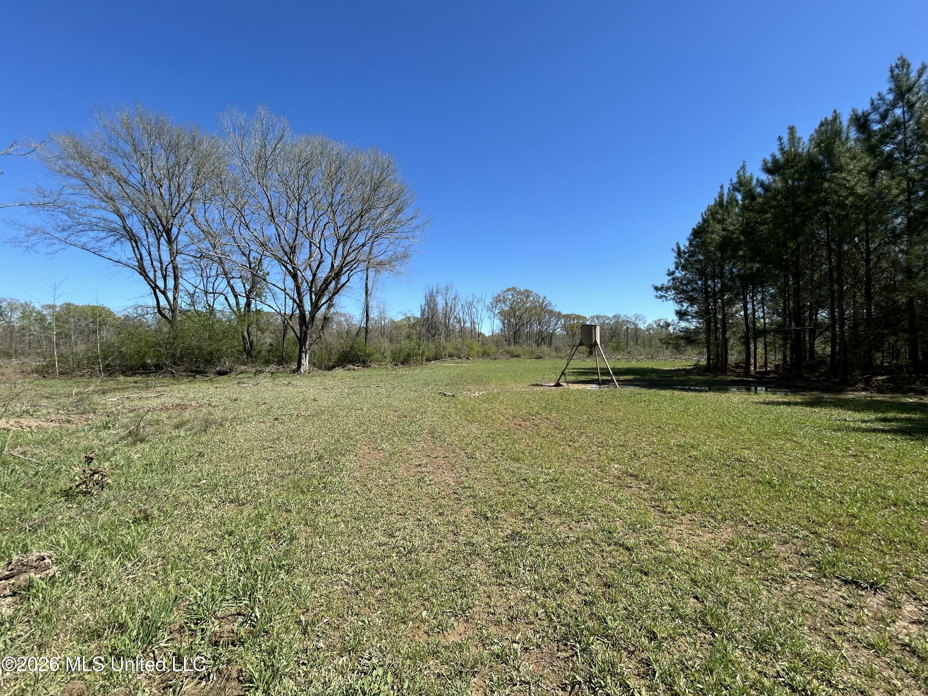 1009 Chance Road Property Photo 33