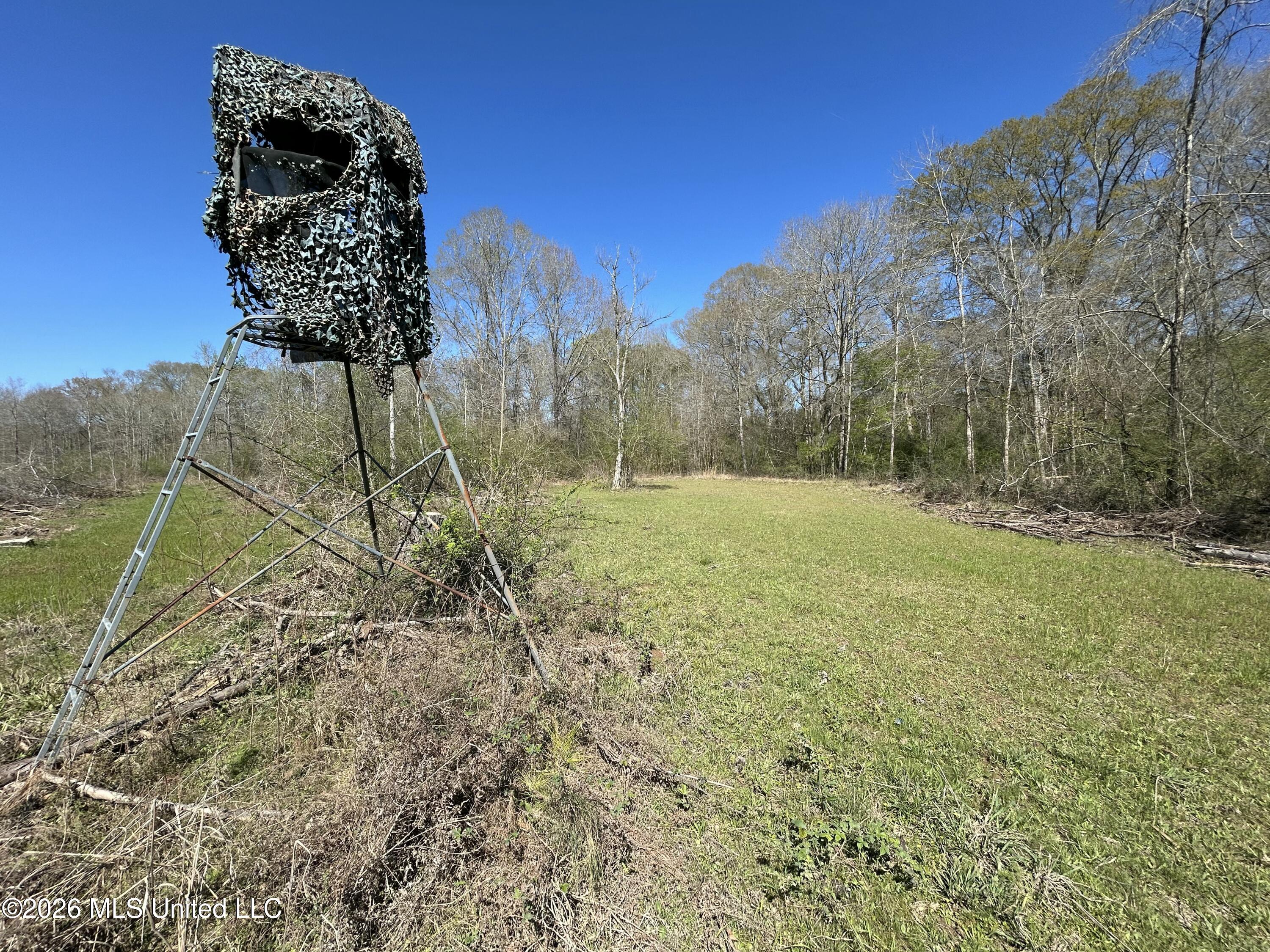 1009 Chance Road Property Photo 34