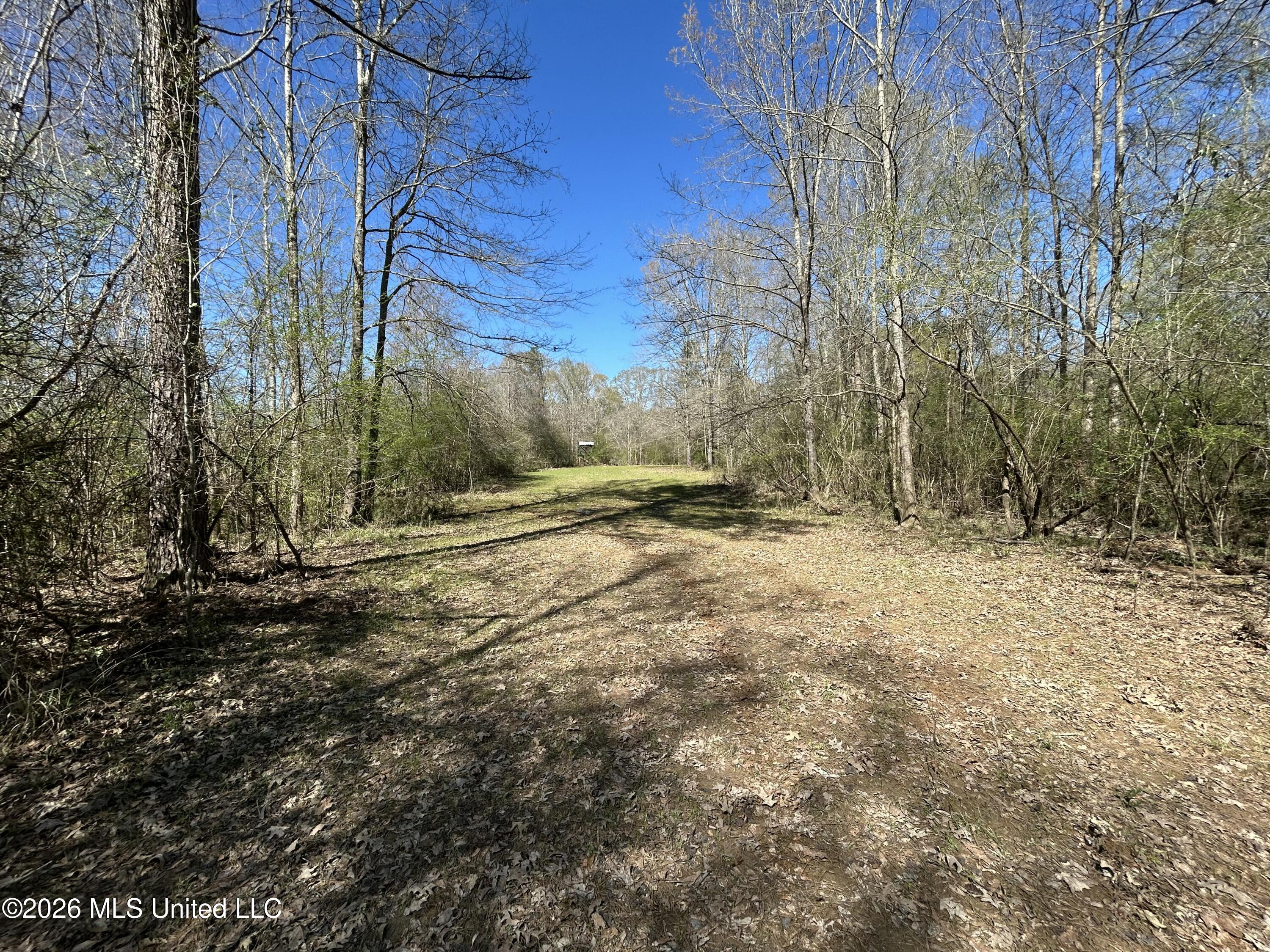 1009 Chance Road Property Photo 40