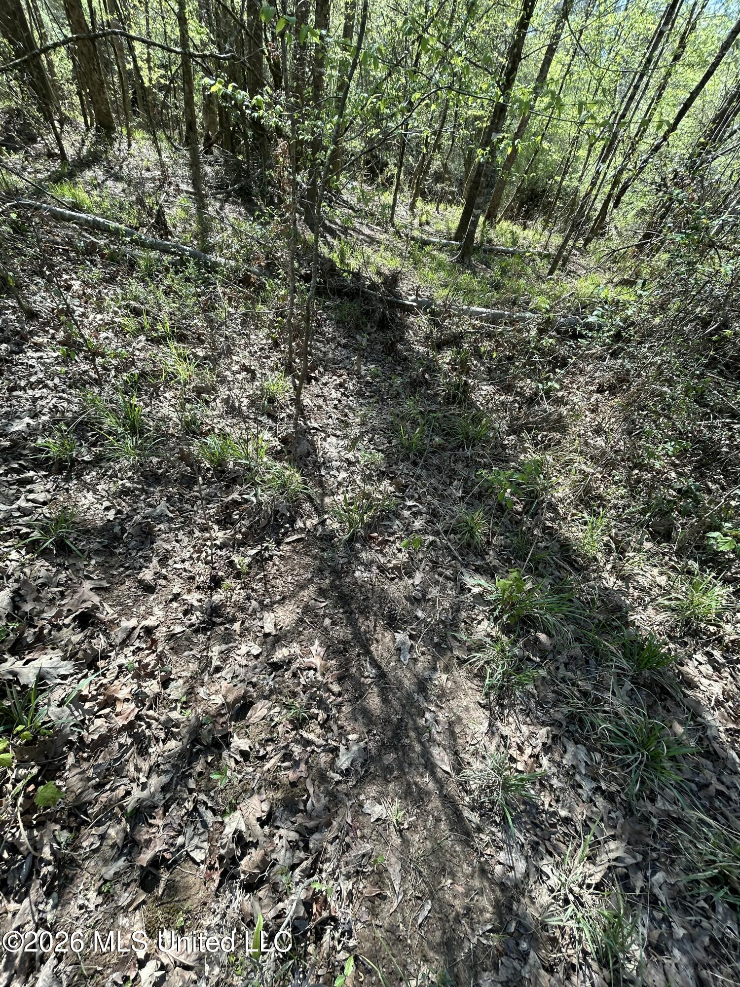 1009 Chance Road Property Photo 41