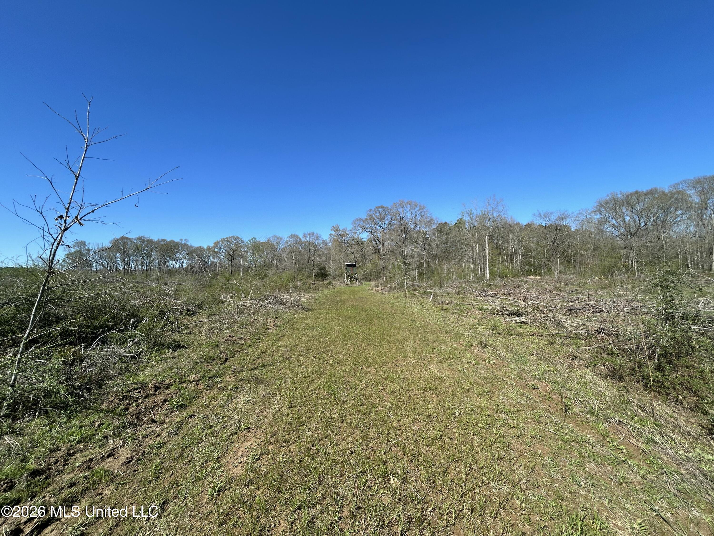 1009 Chance Road Property Photo 45