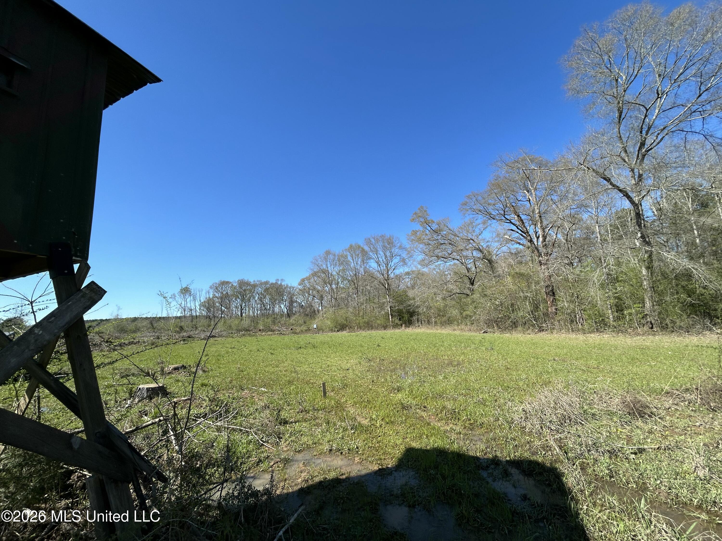 1009 Chance Road Property Photo 46