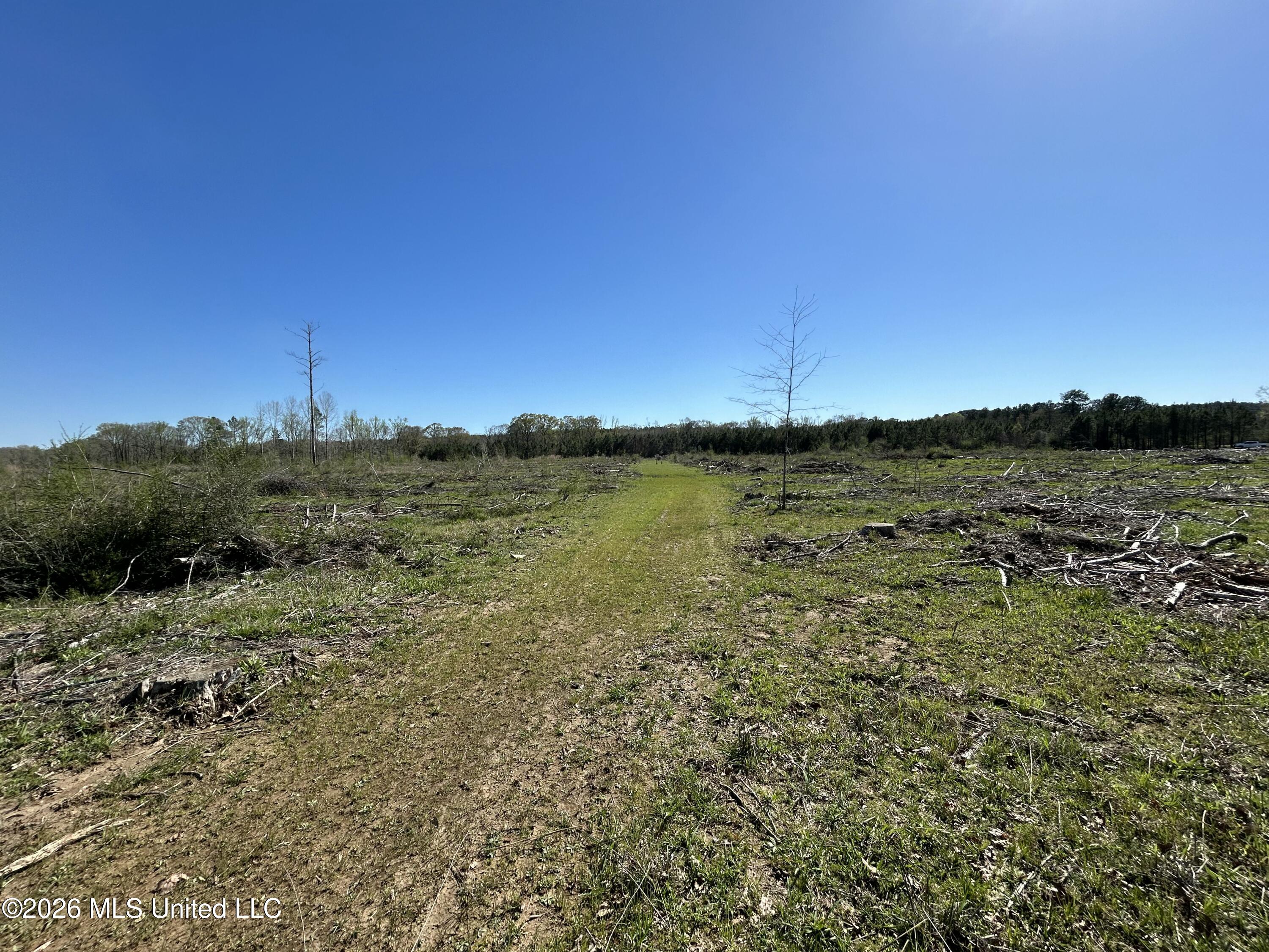 1009 Chance Road Property Photo 48
