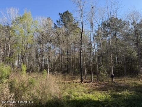 1404 Sw Gene Road Property Photo 15