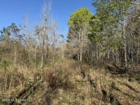 1404 Sw Gene Road Property Photo 16