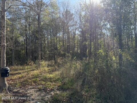 1404 Sw Gene Road Property Photo 17