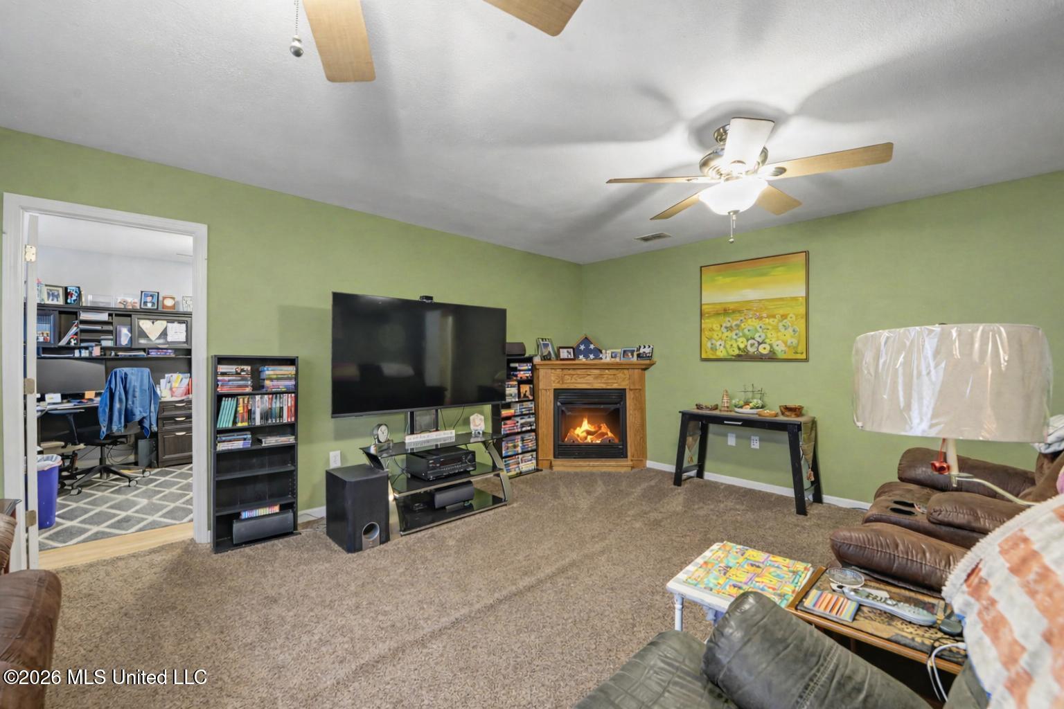 123 Espana Park Drive Property Photo 3