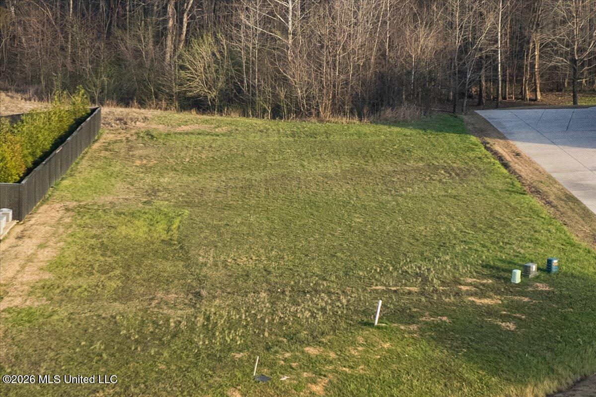 179 Hayes Cove Property Photo 5