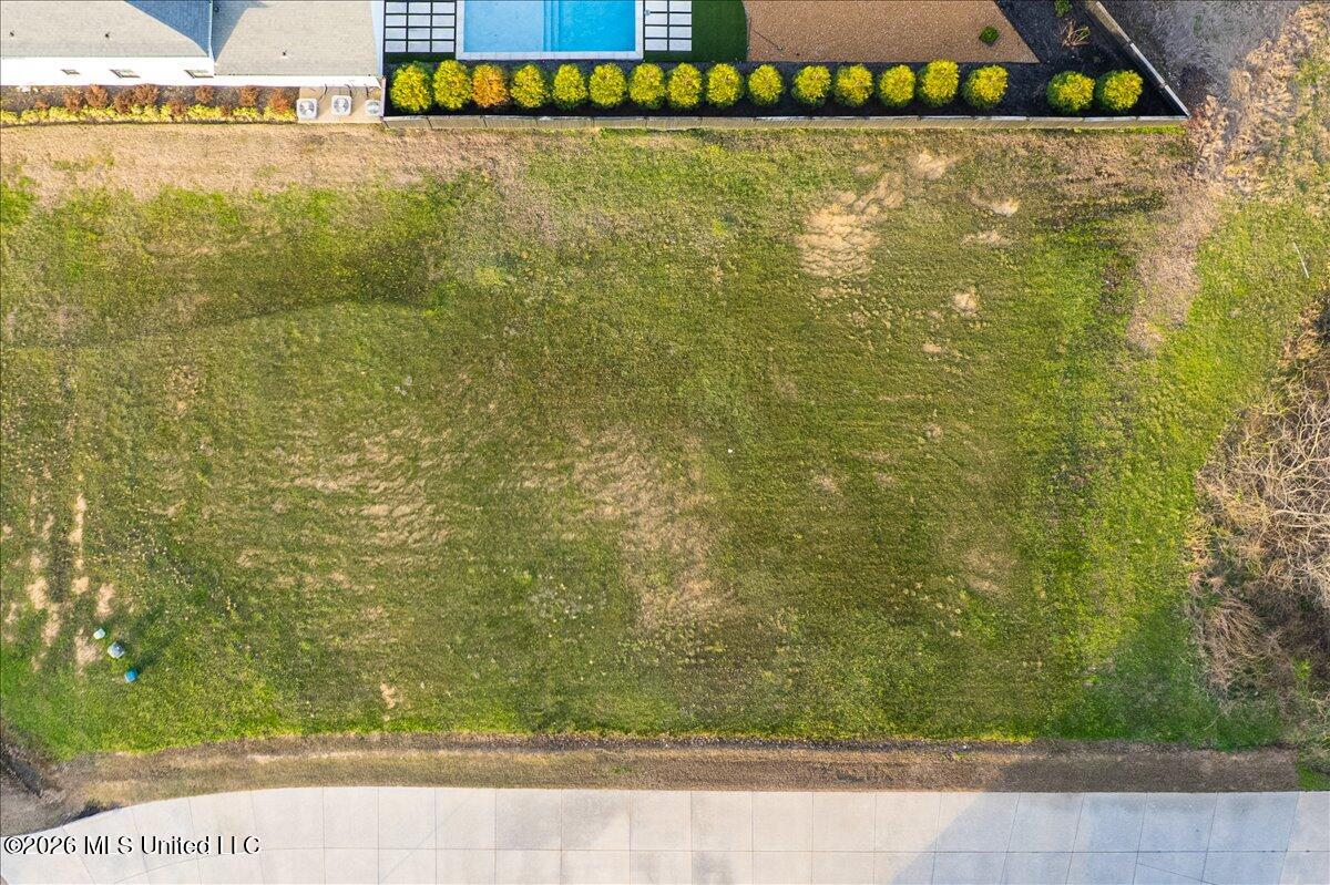 179 Hayes Cove Property Photo 6