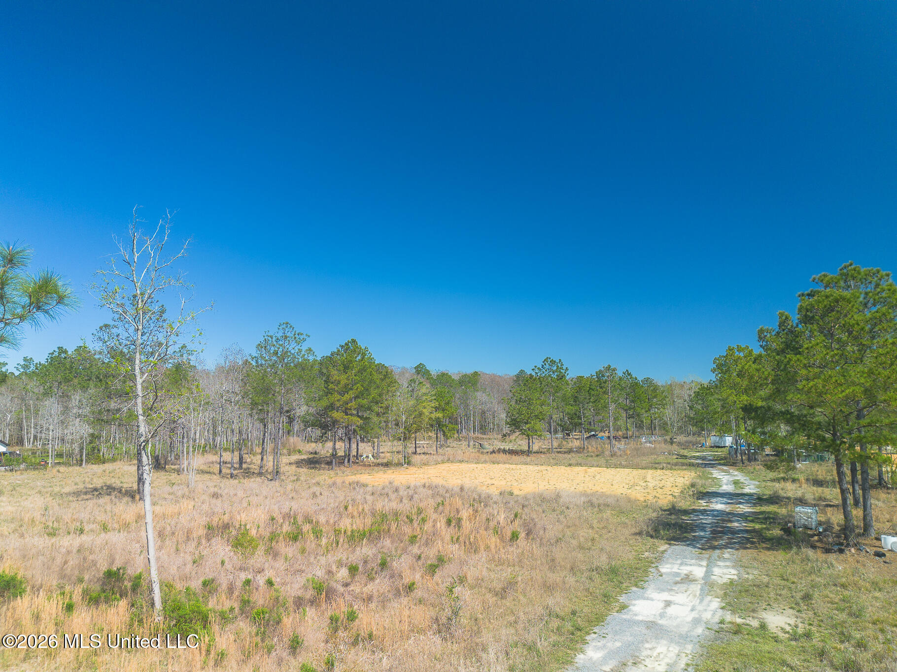 Allen Road Property Photo 3