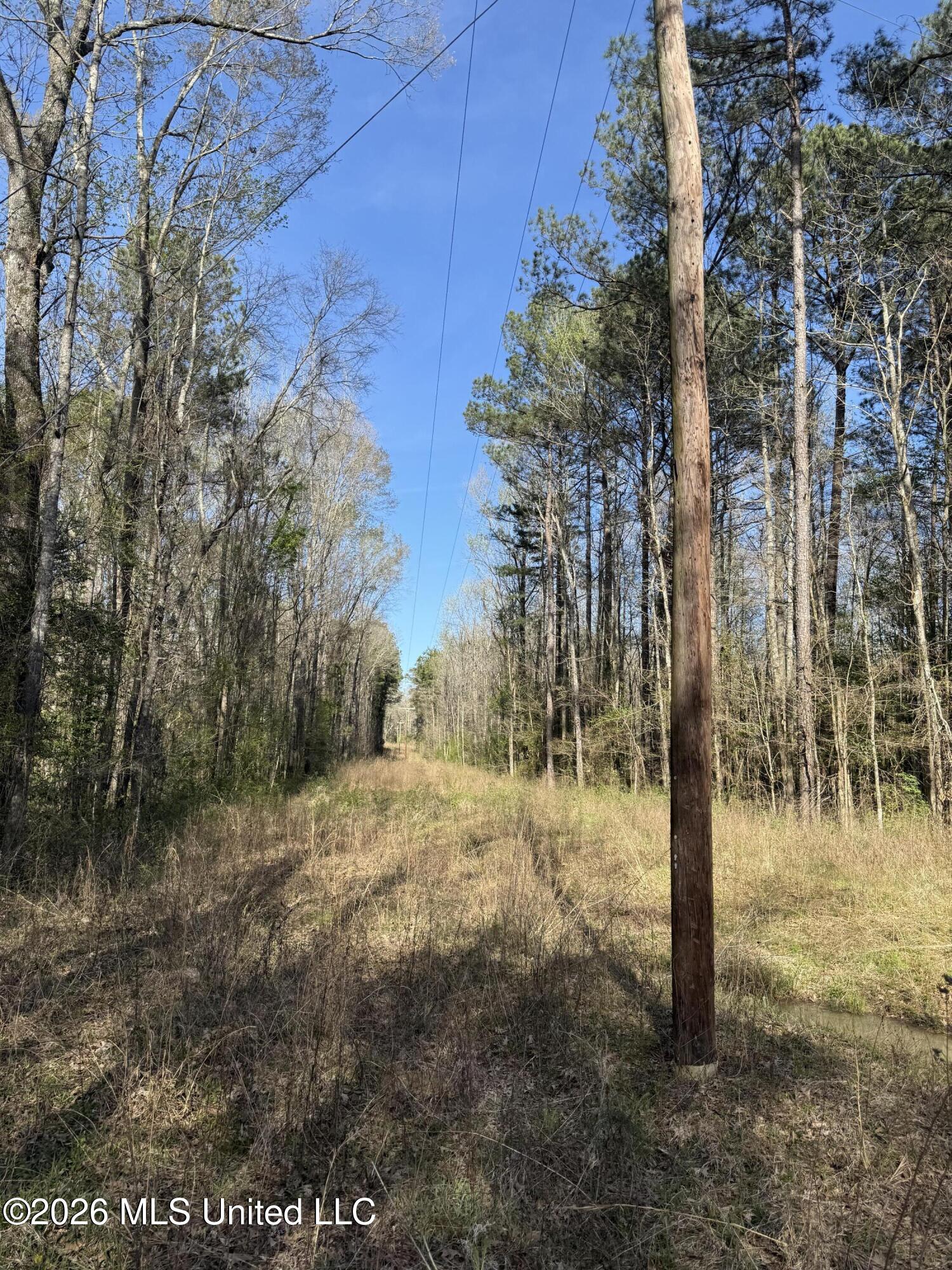 0 Ms-13 Property Photo 4