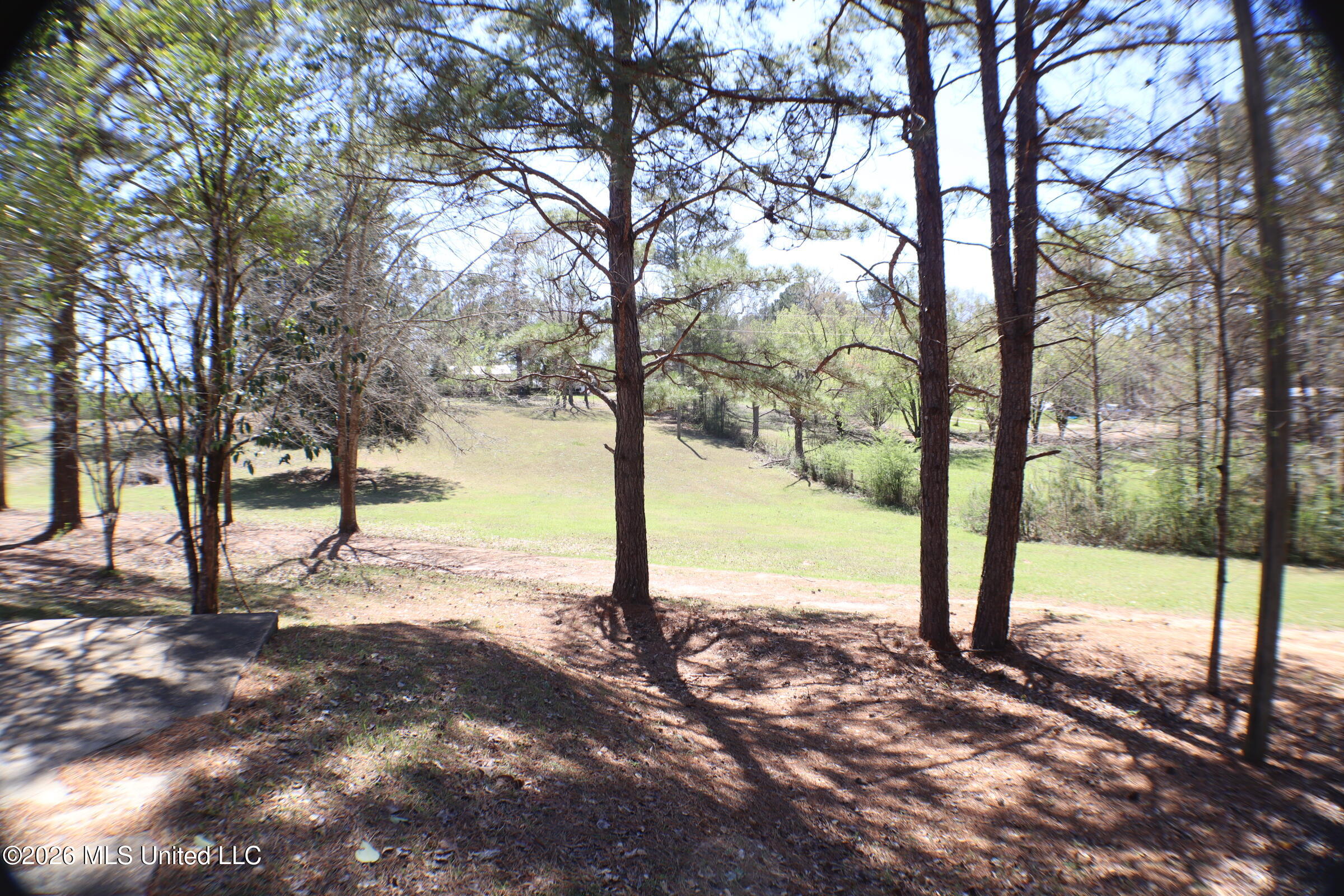 219 Bass Road Property Photo 97