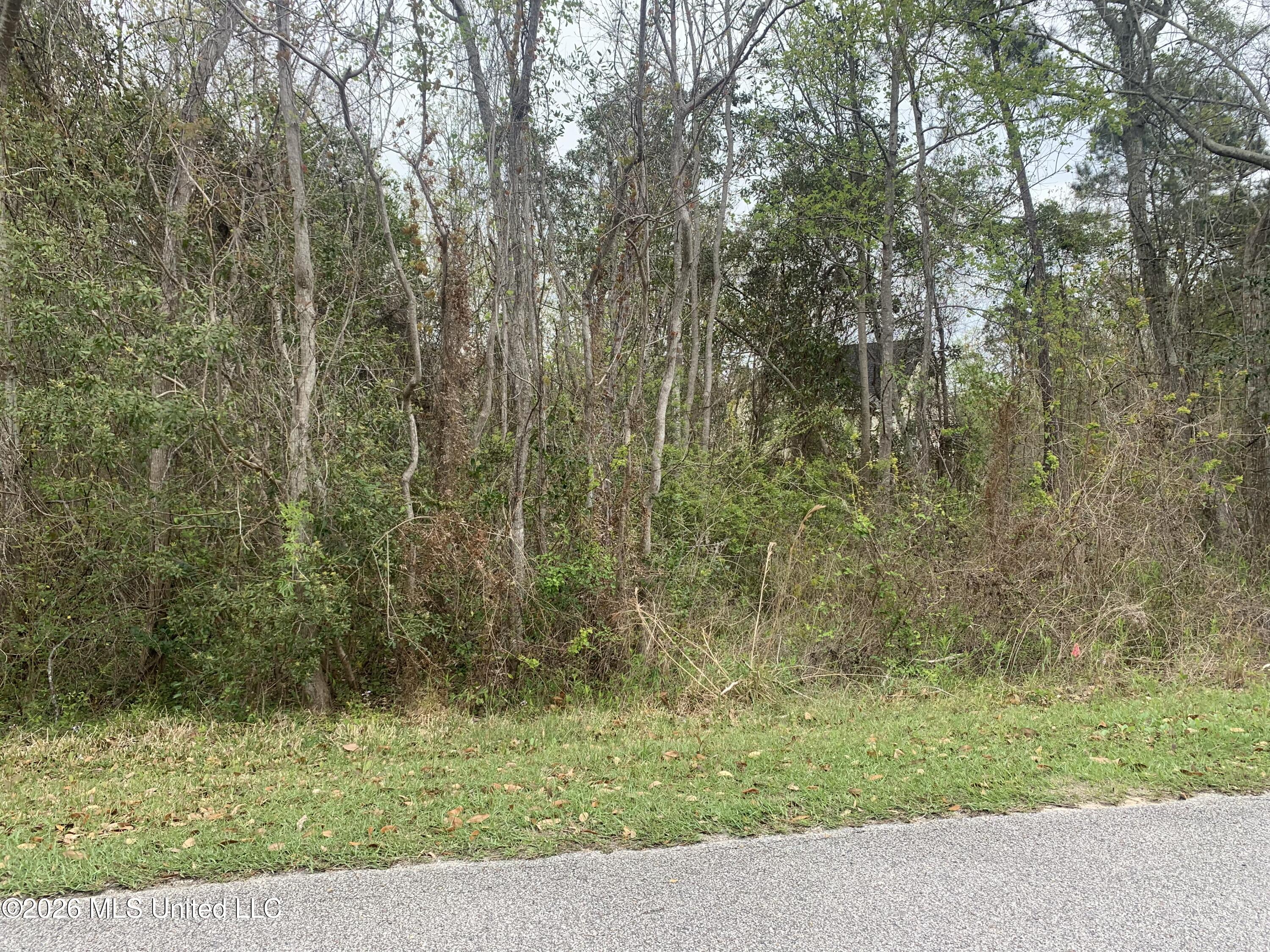 000 Pine Ridge Drive Property Photo 1