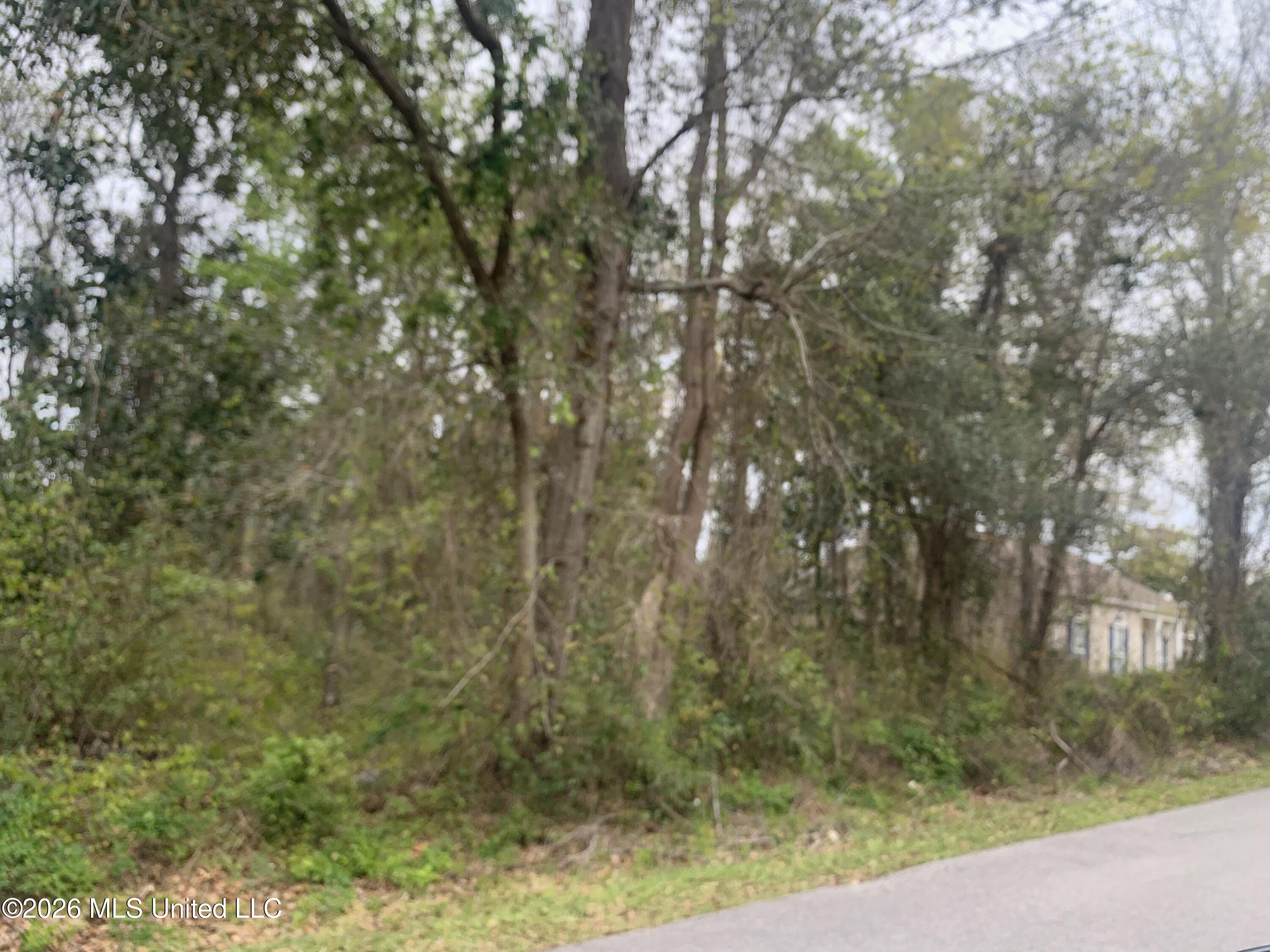 000 Pine Ridge Drive Property Photo 4