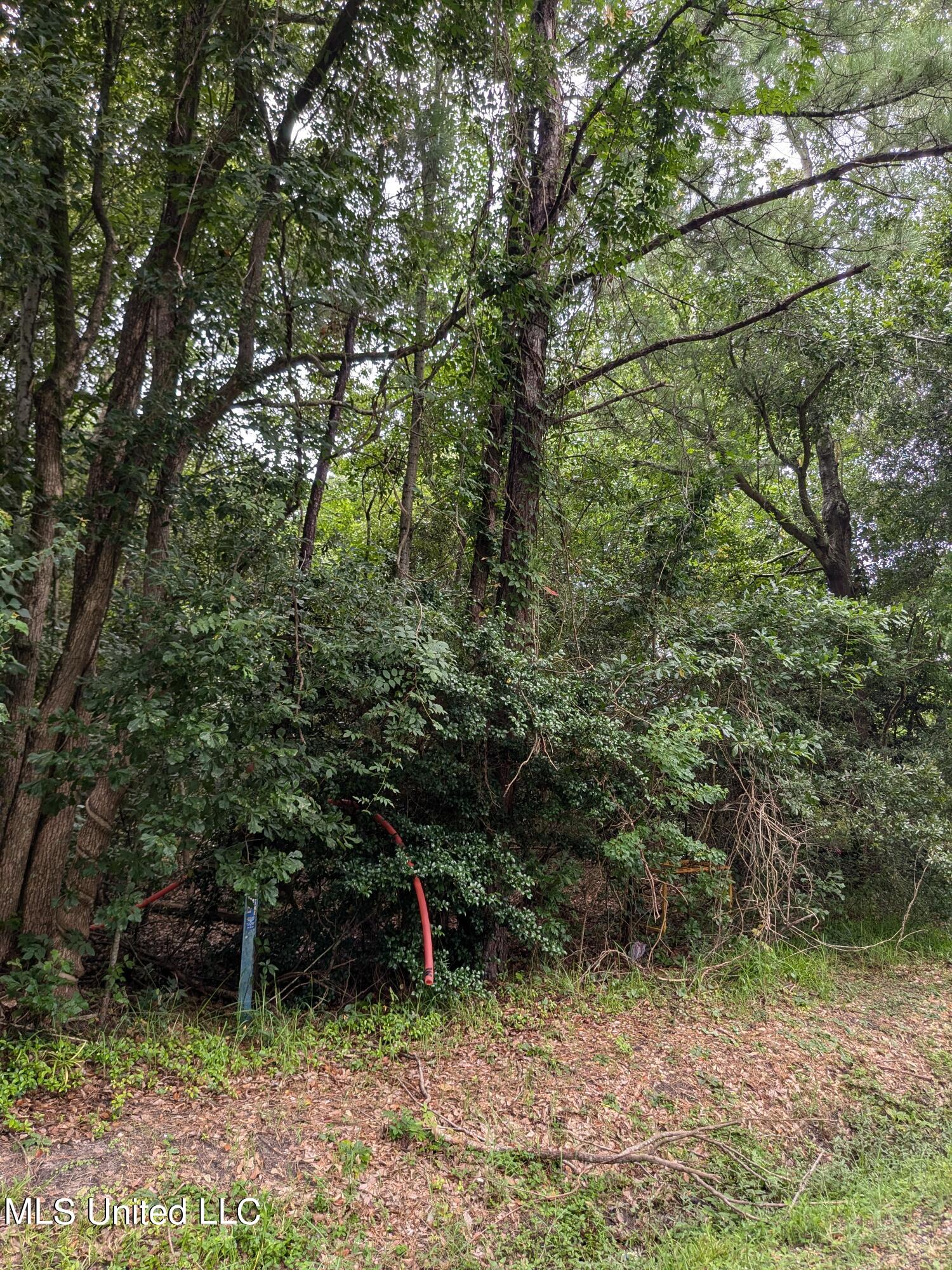 447 Sandy Street Property Photo 4
