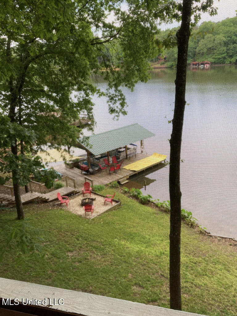 205 Snow Lake Drive Property Photo 20