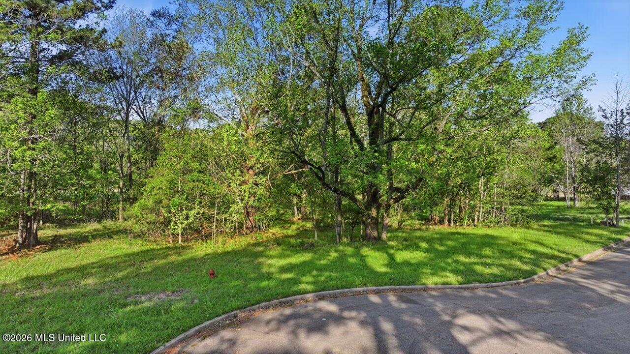 114 Bristol Court Property Photo 11