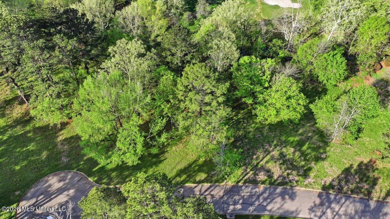 114 Bristol Court Property Photo 27