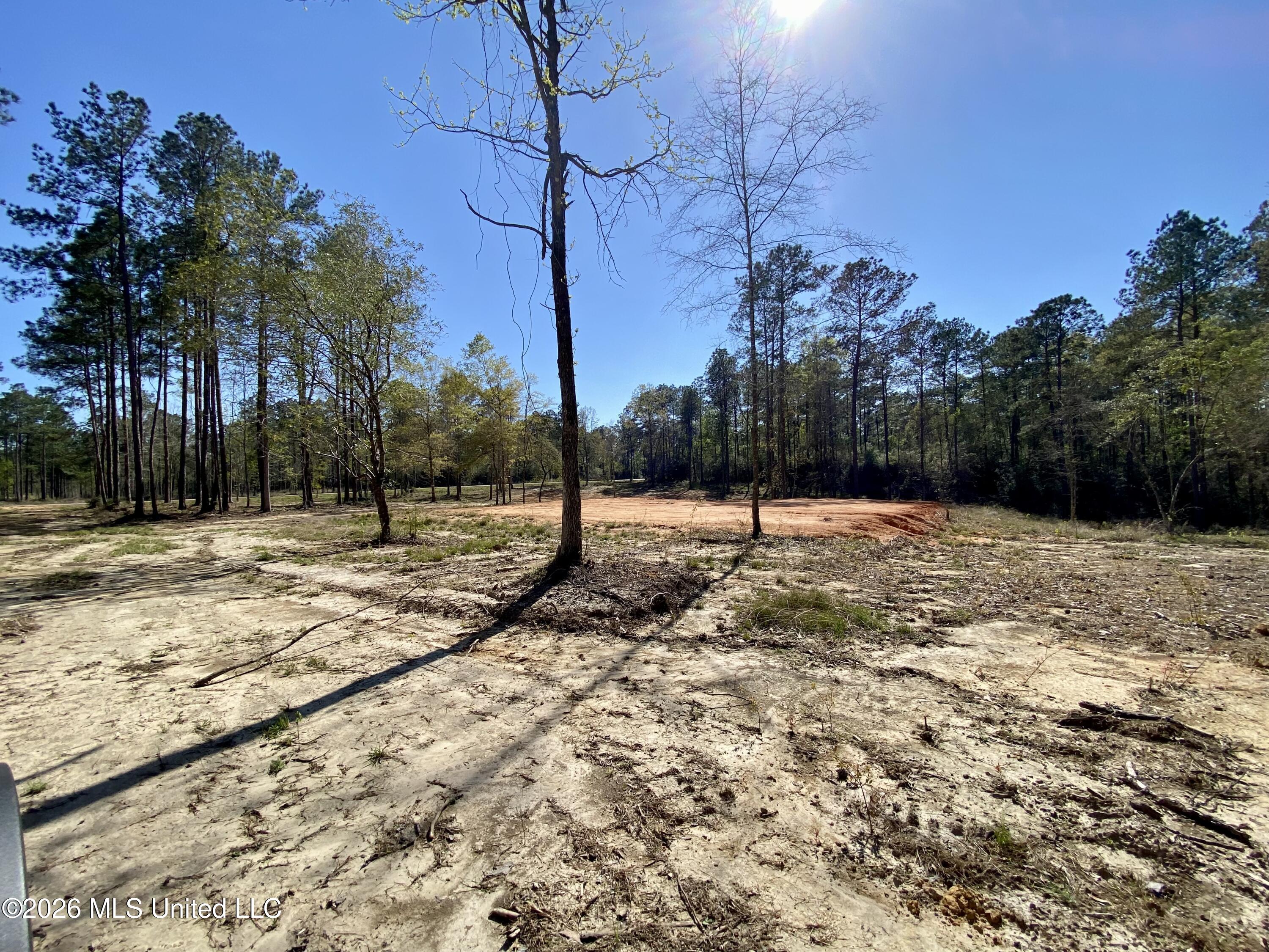 10 Monarch Circle Property Photo 4