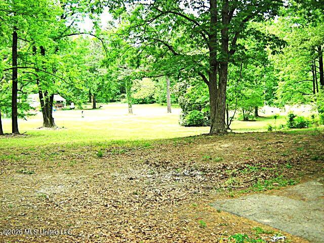 3630 Debbie Lane Property Photo 4