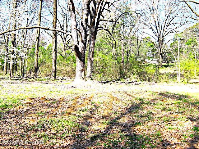 3630 Debbie Lane Property Photo 26