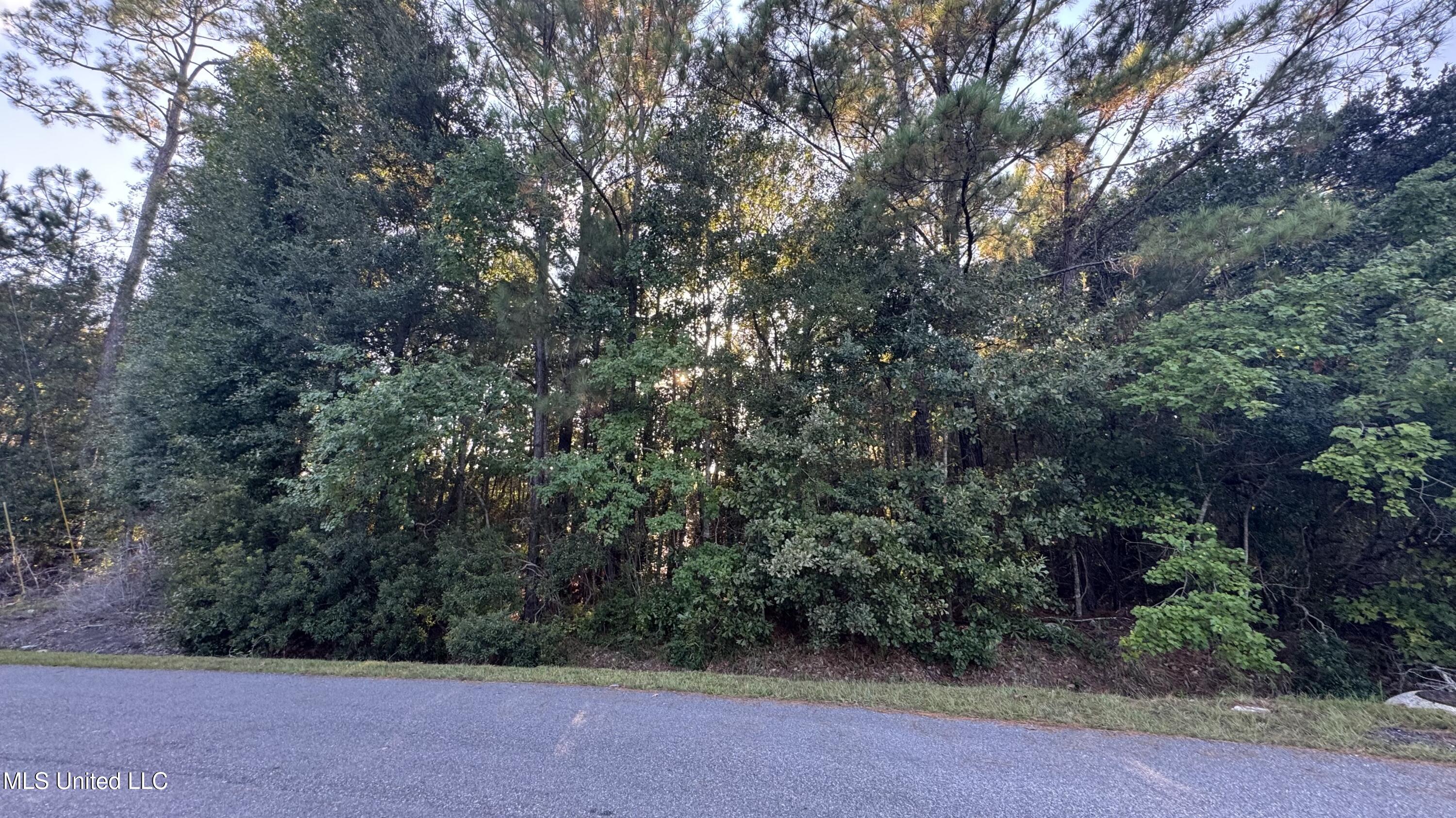 9079 Iris Street Property Photo 1