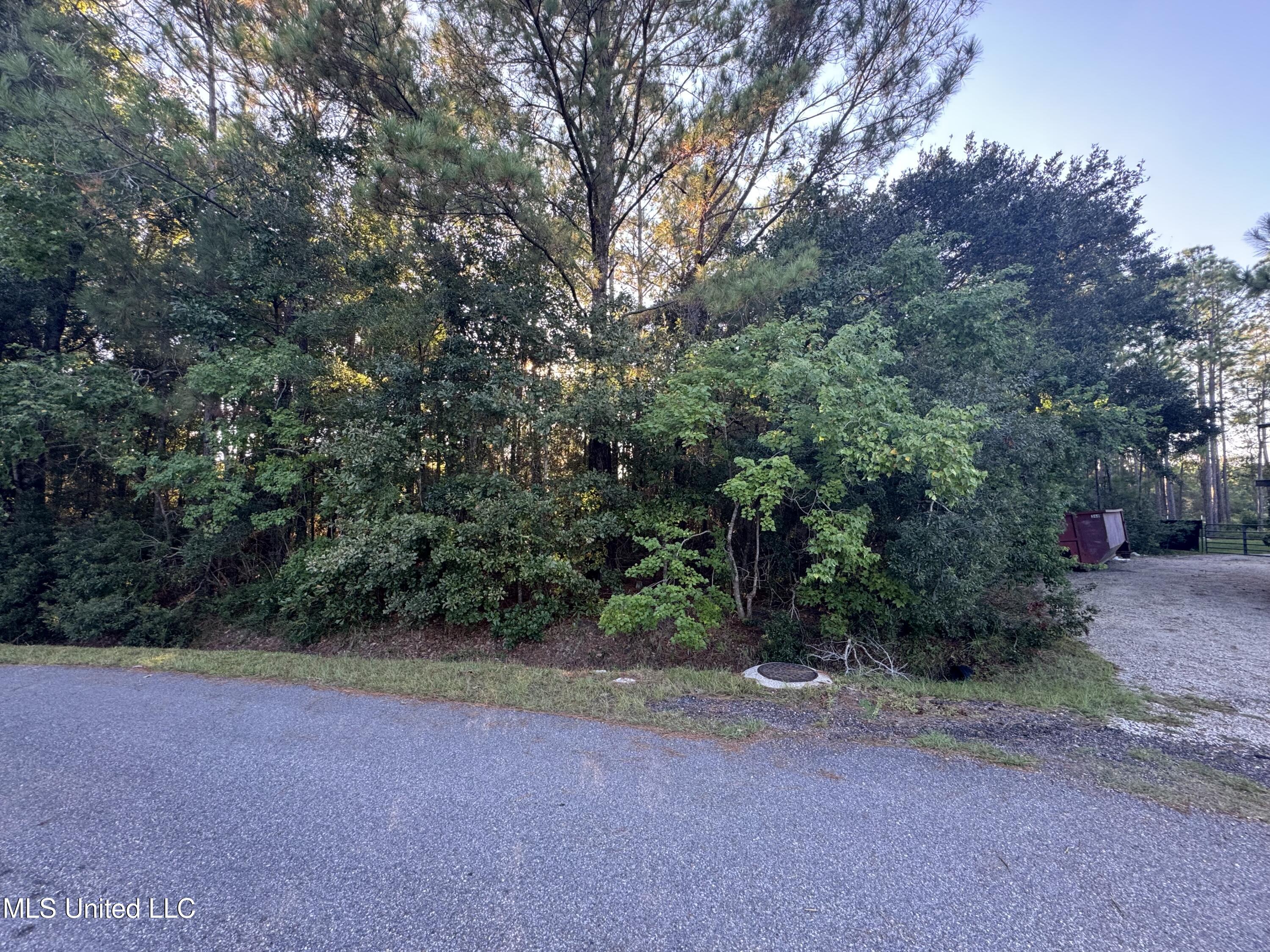9079 Iris Street Property Photo 2