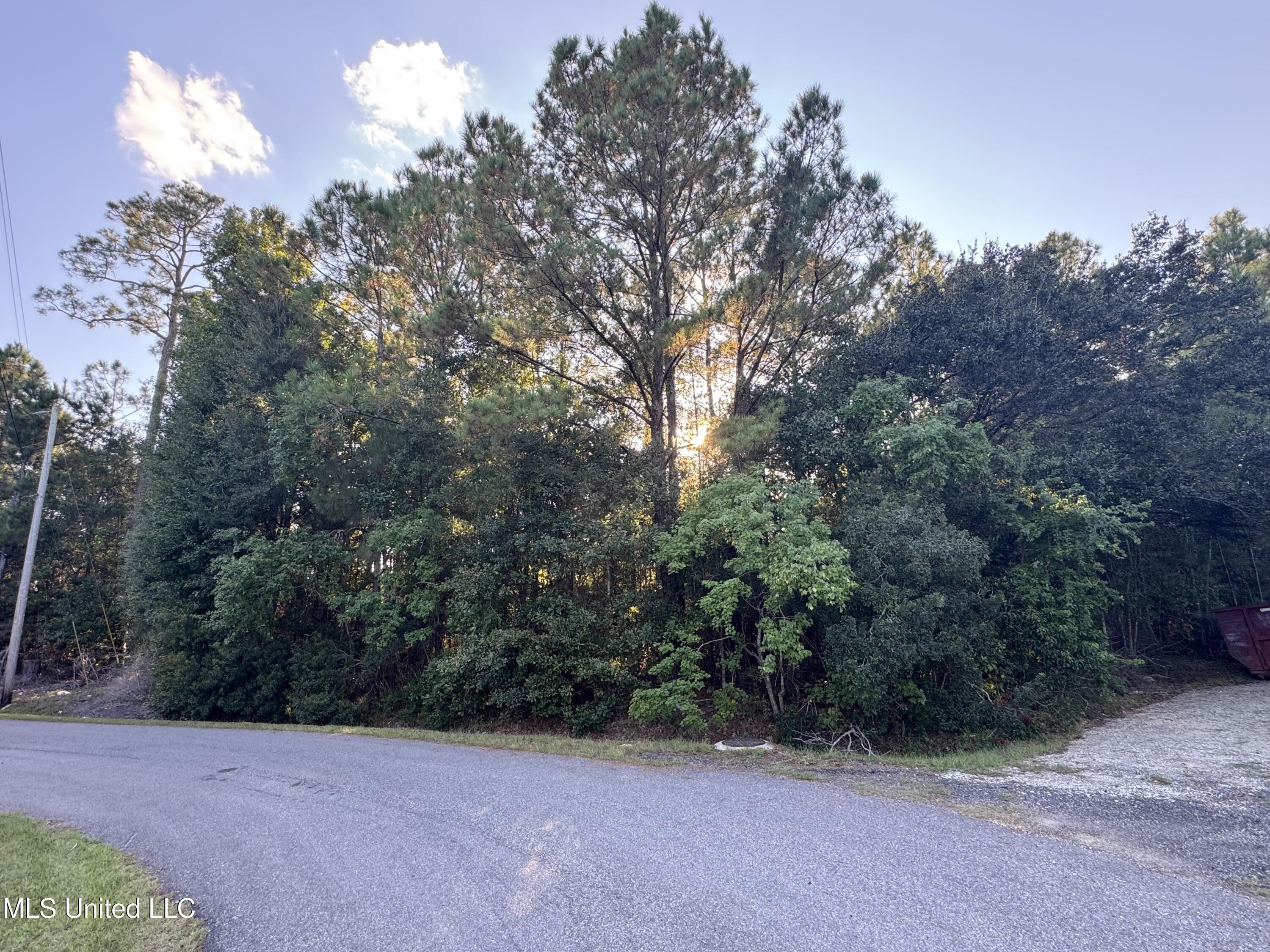 9079 Iris Street Property Photo 4