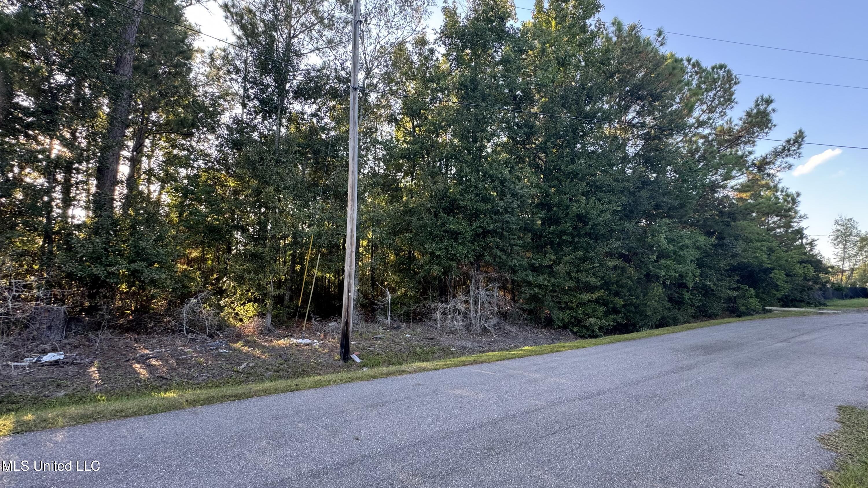 9079 Iris Street Property Photo 7
