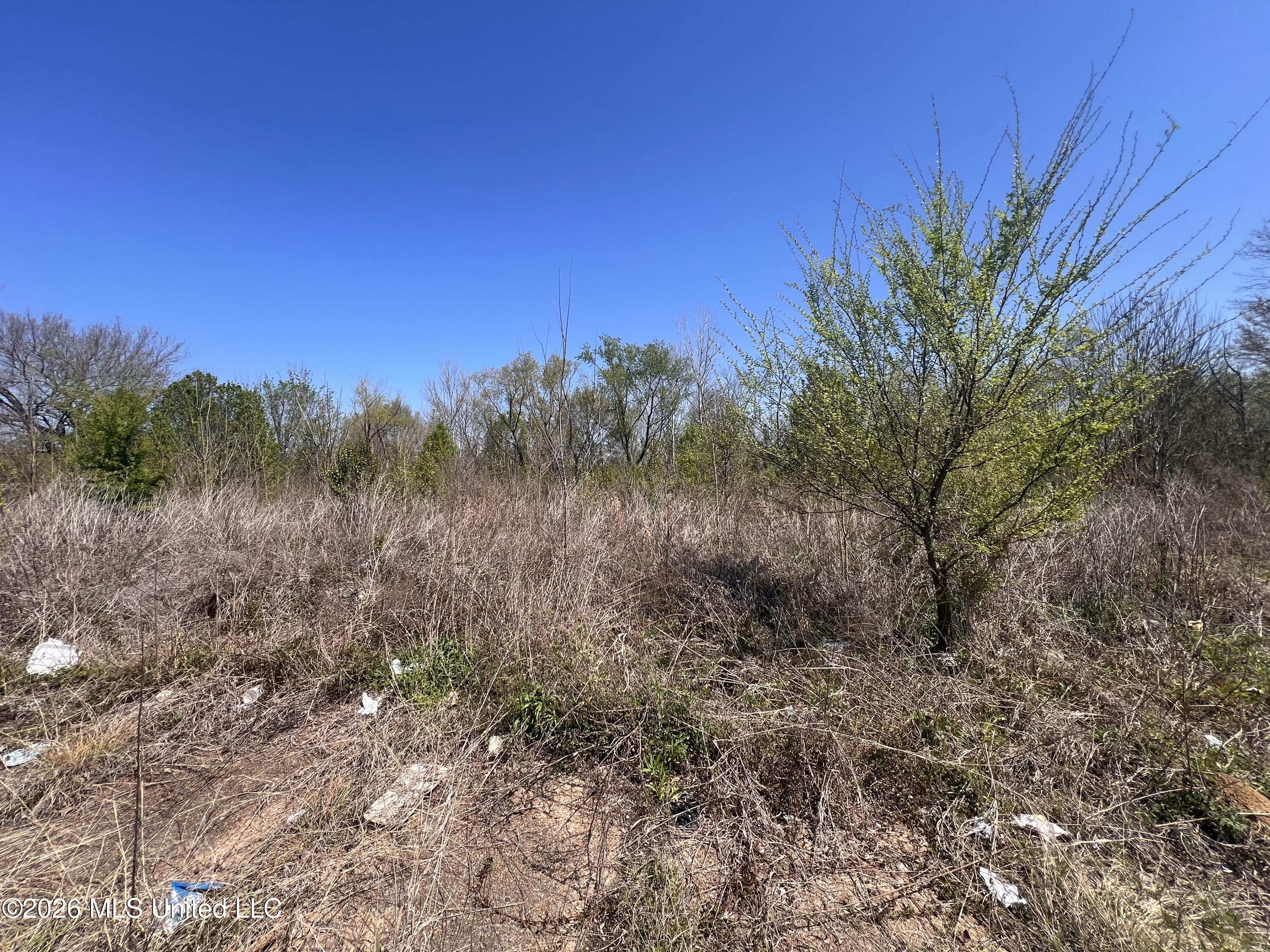 750 W Amite Street Property Photo 4
