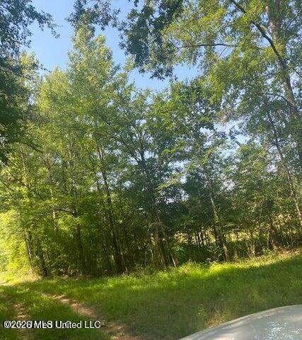 163 Haney Road Property Photo 1