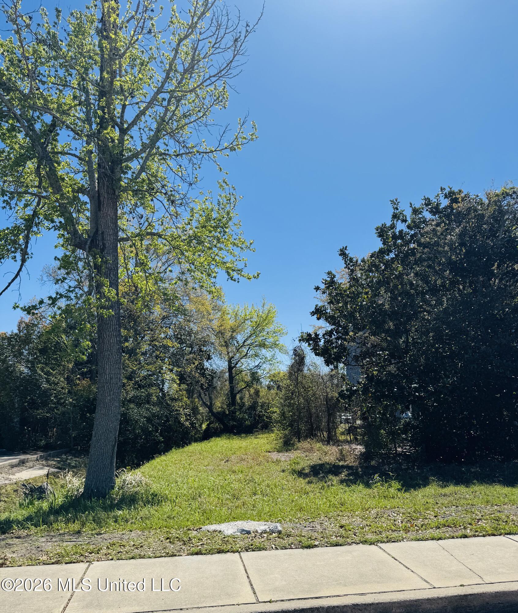 0 Jackson Avenue Property Photo 1