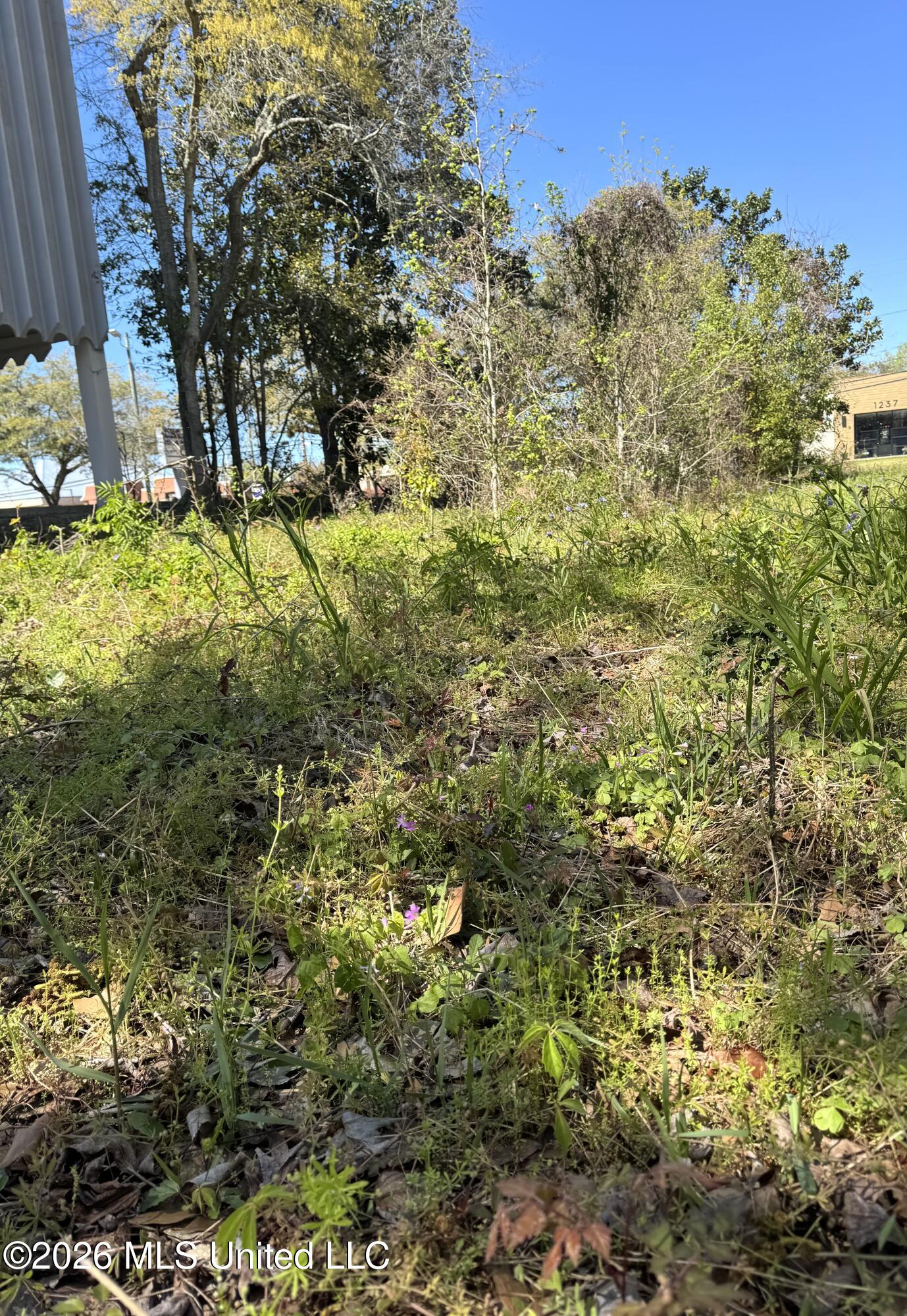 0 Jackson Avenue Property Photo 2