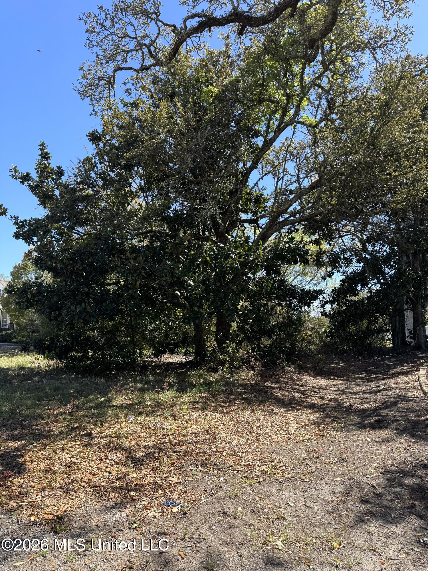 0 Jackson Avenue Property Photo 3